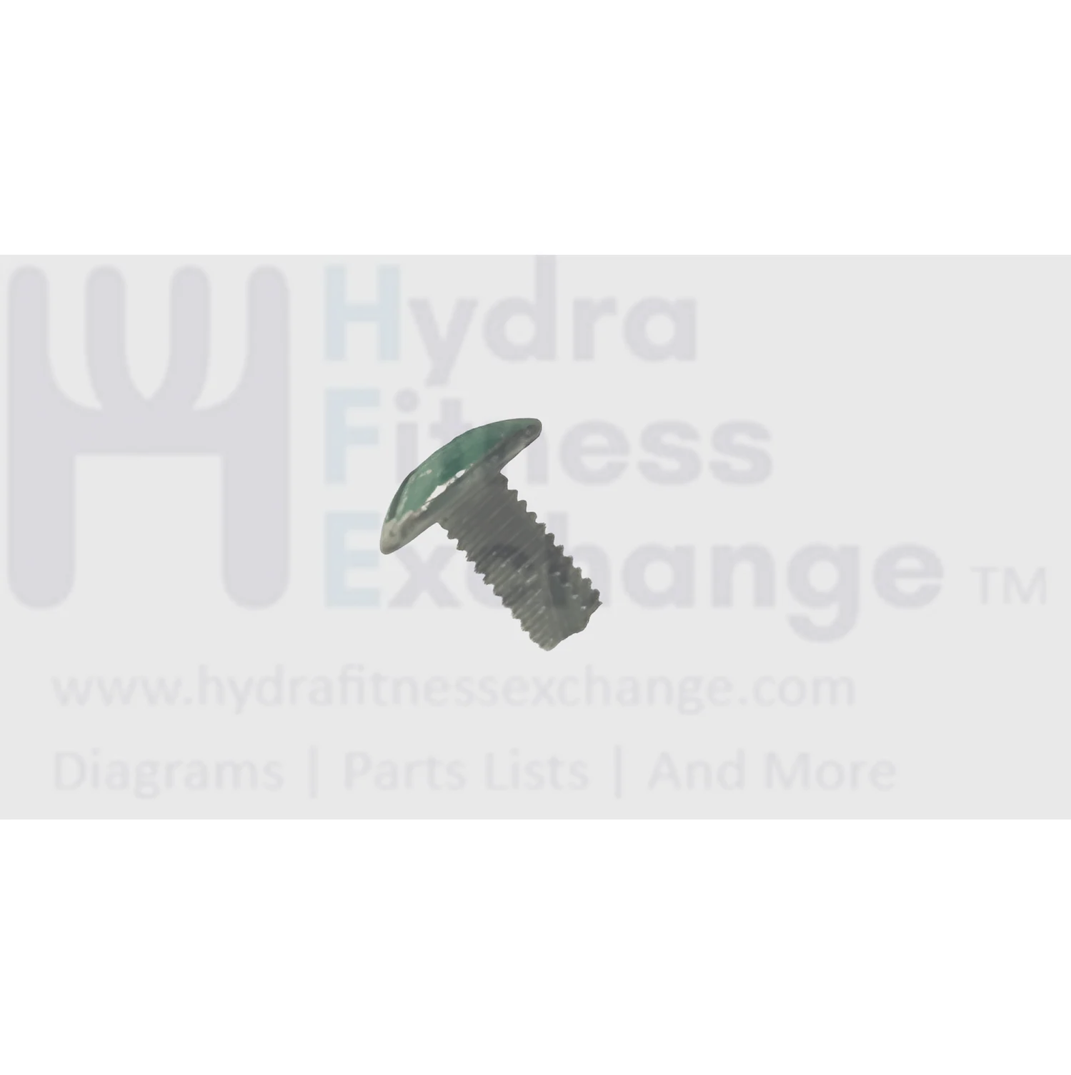 Matrix Fitness Upright Bike Phillip Button Head Screw M5 x 10L 1000417018