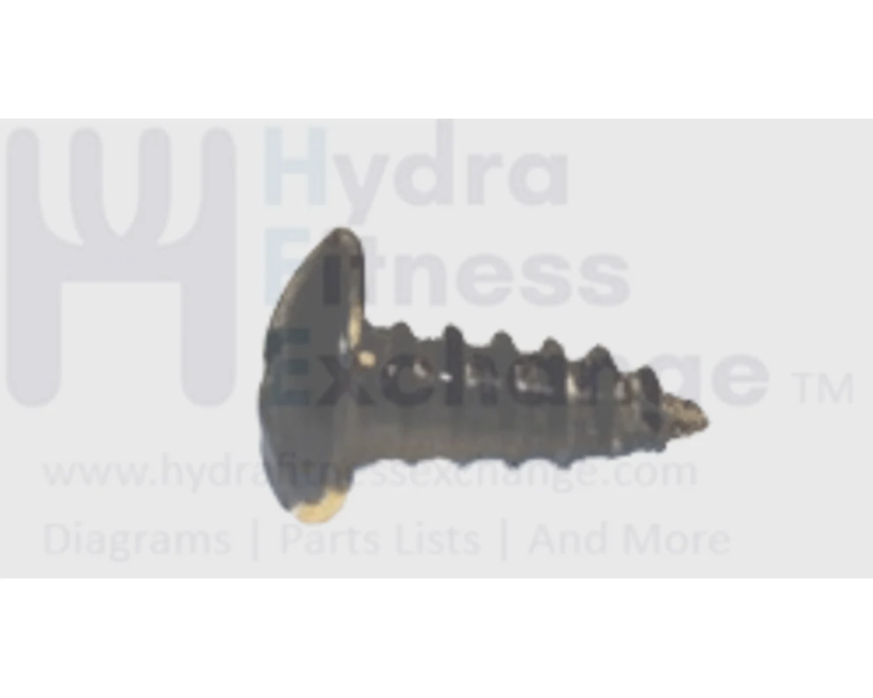 Matrix Fitness Upright Bike Round Head Tapped Screw 4 x 12L 004653-00