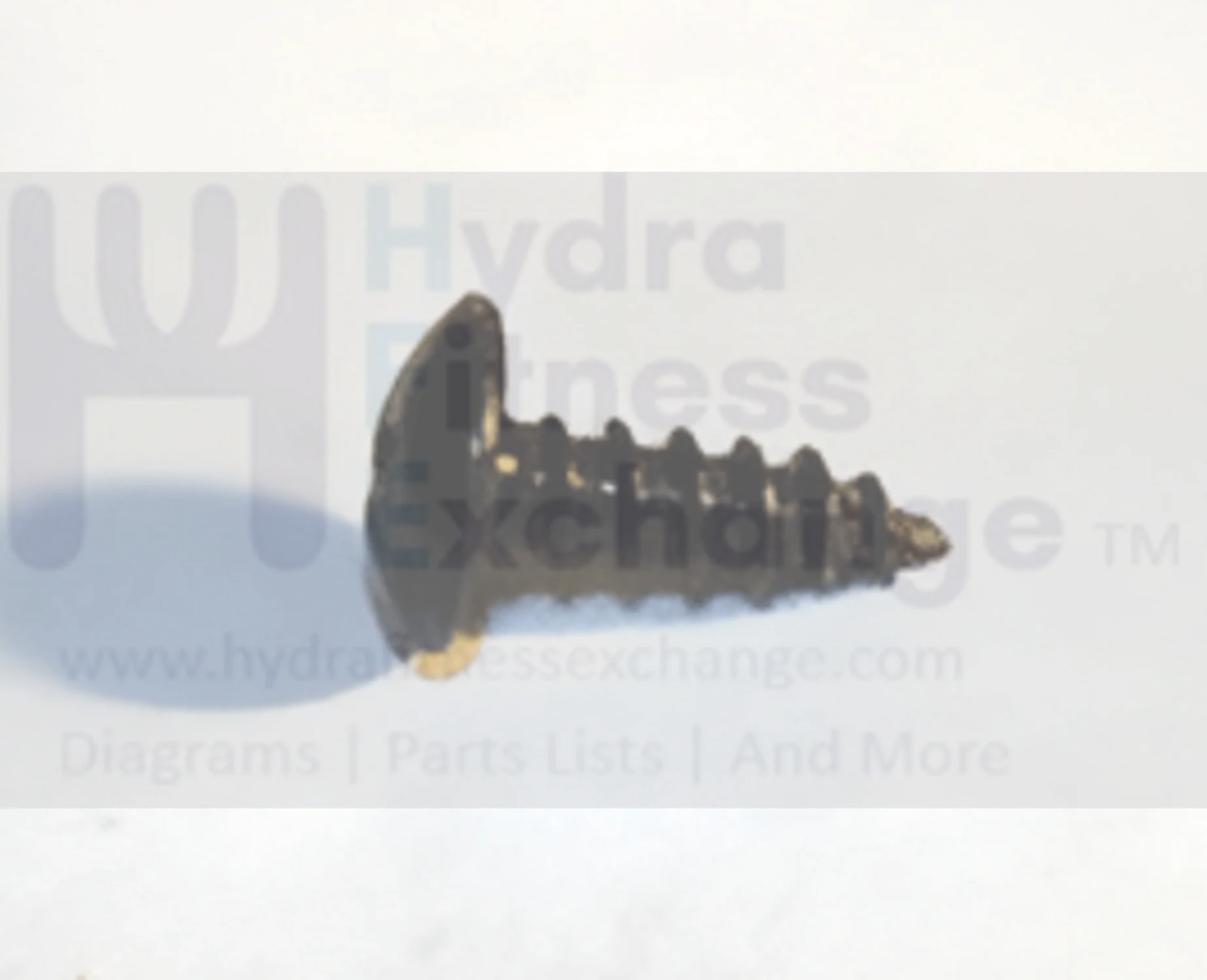 Matrix Fitness Upright Bike Round Head Tapped Screw 4 x 12L 004653-00 - Image 2