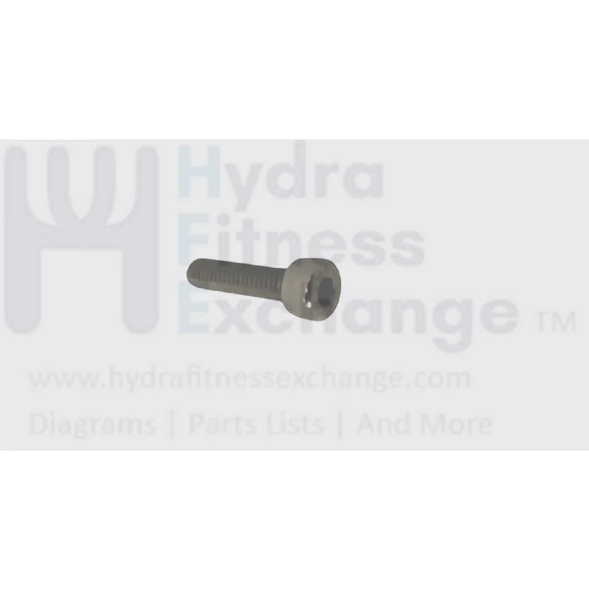 Matrix Fitness Upright Bike Round Head Hex Socket Screw M4 - 0.7P x 16L 004446-Z