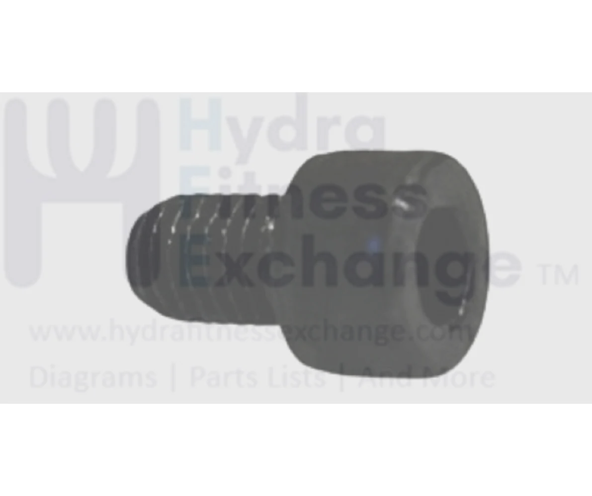 Matrix Fitness Upright Bike Round Head Hex Socket Screw M8 - 1.25P x 12L 020069-00