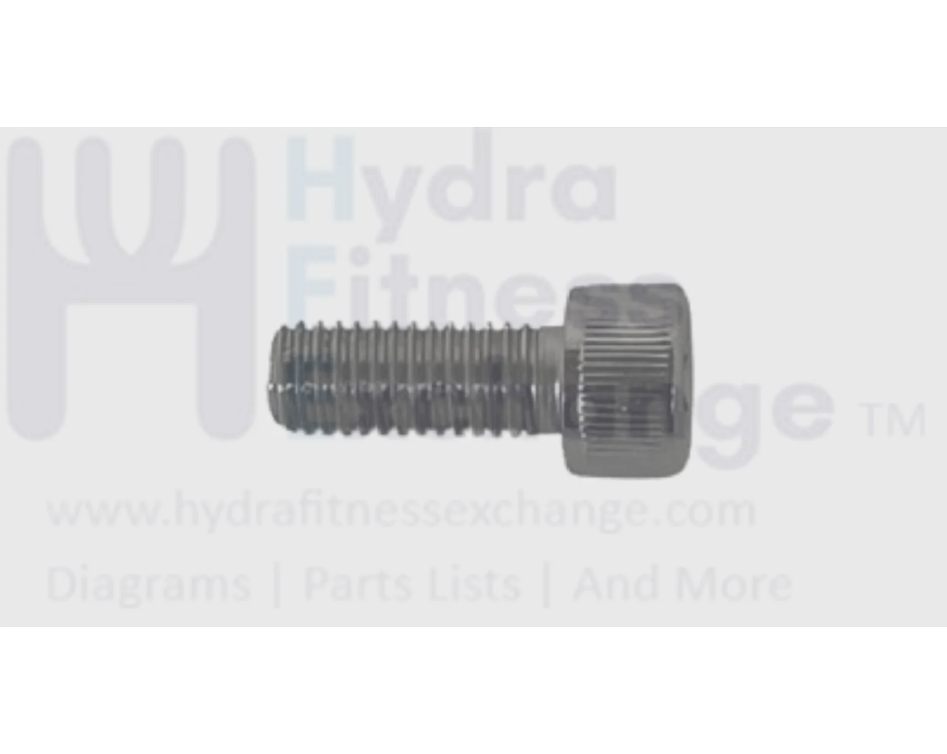 Matrix Fitness Upright Bike Round Head Hex Socket Screw M8 - 1.25P x 20L 004538-AC