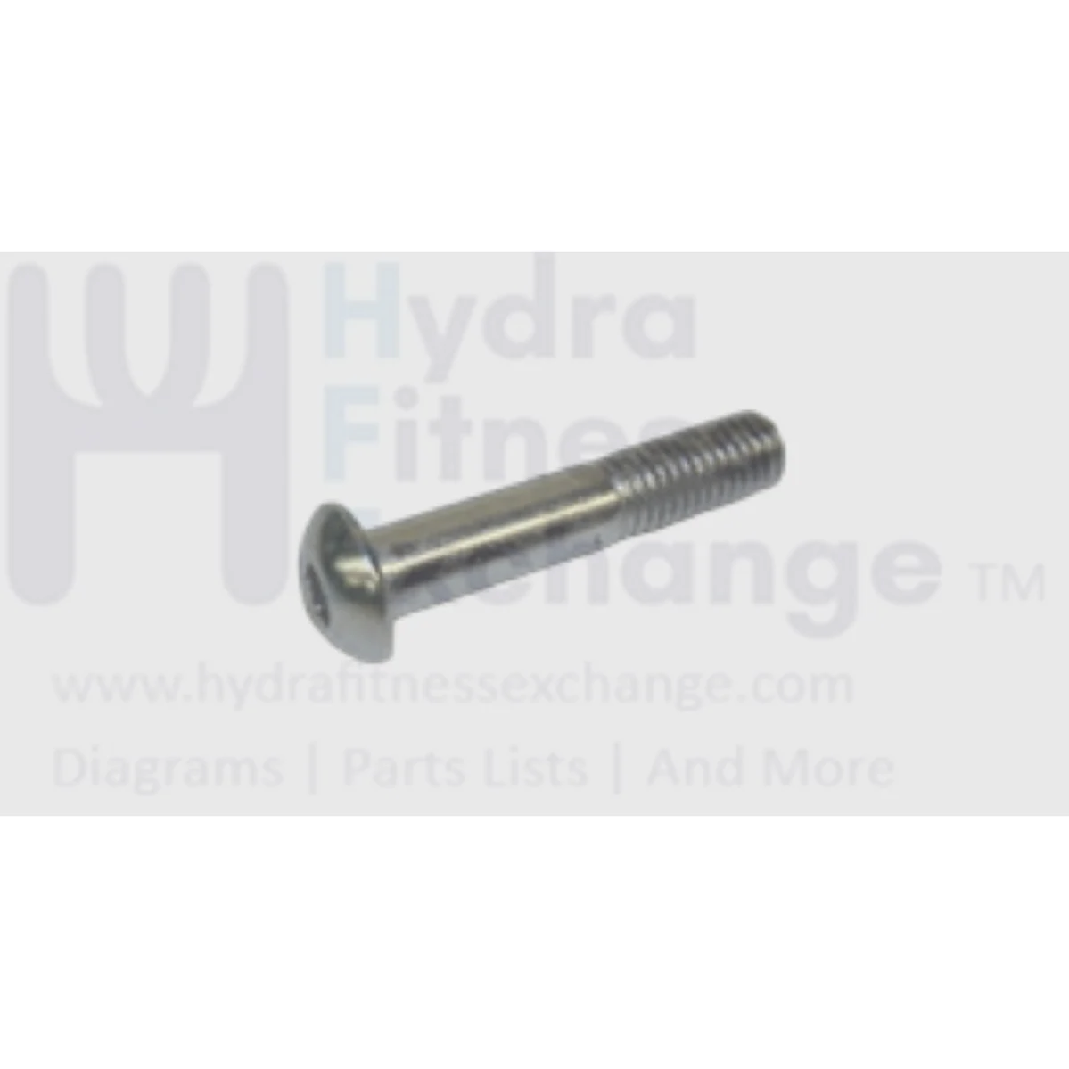 Matrix Recumbent Bike Button Head Hex Socket Screw M10- 1.5P x 50L-15L 004758-AD