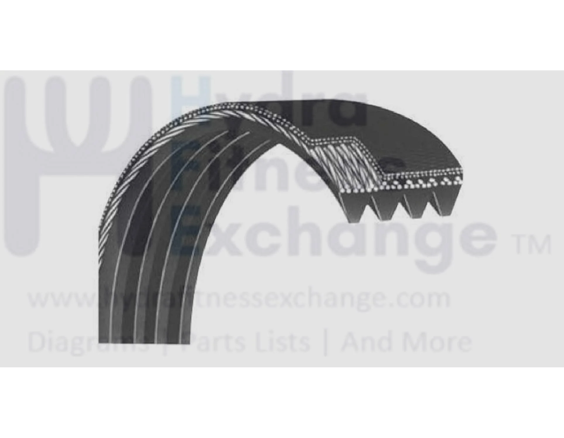 Matrix Retail CS38 Stepper Step Poly V Pulley Drive Belt 61" 10 Ribs 1000404329