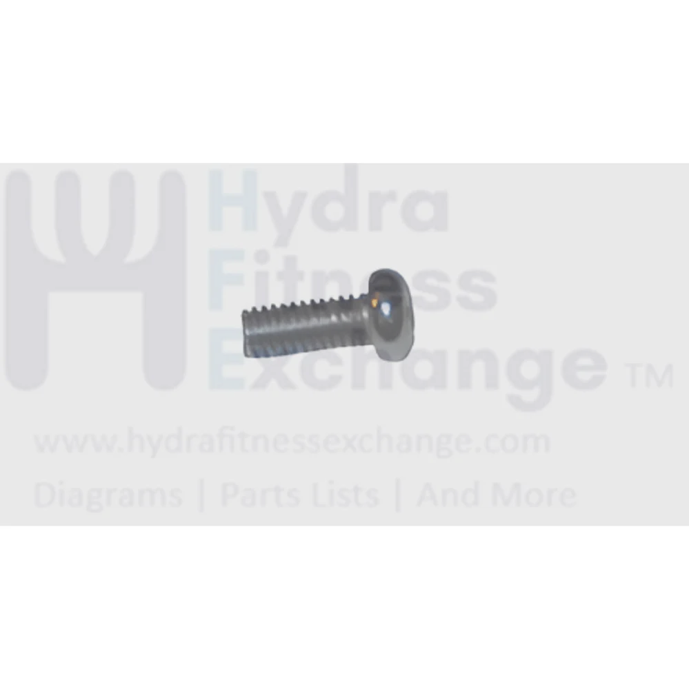 Matrix Retail Stepper Step Round Screw M4 x 10L 004321-AB