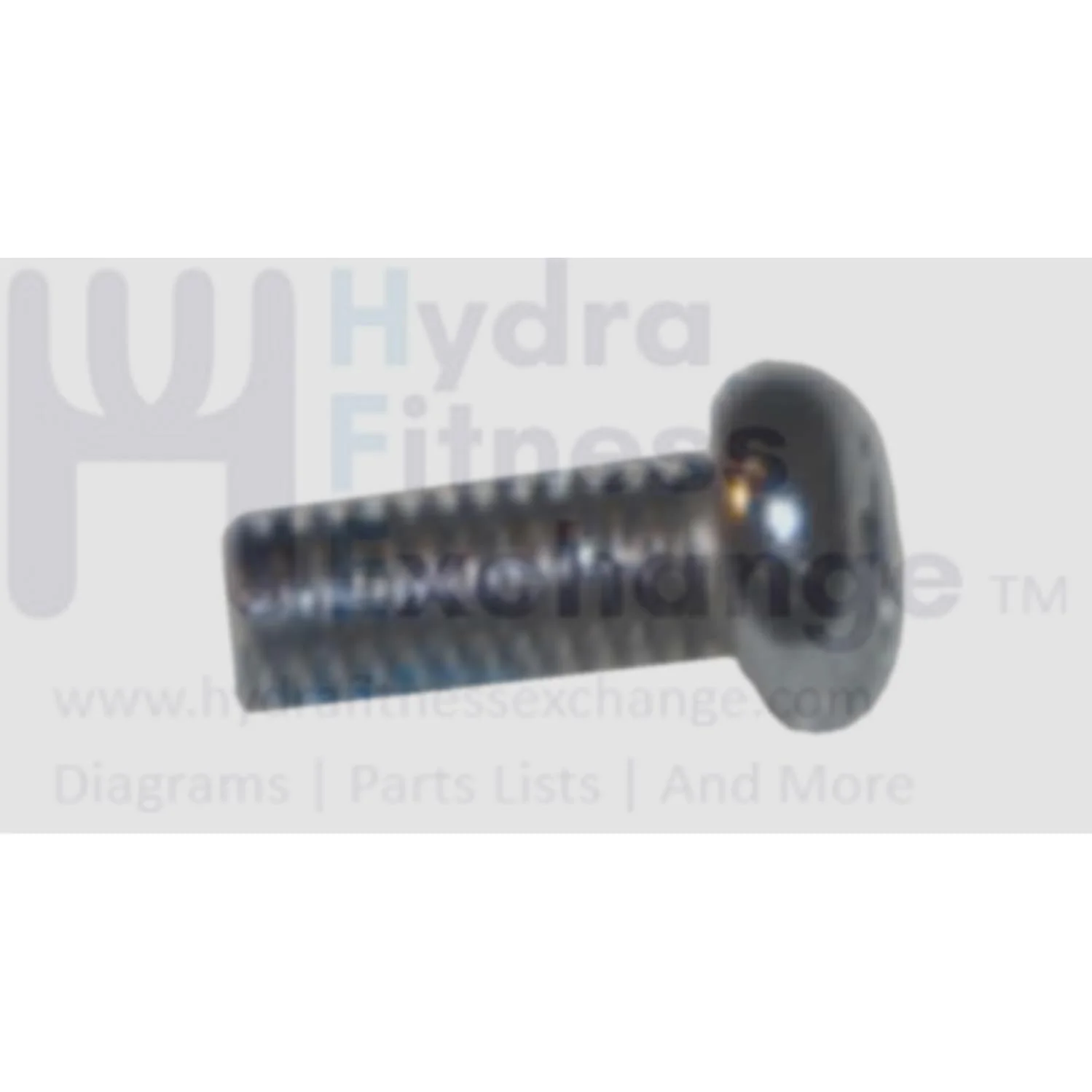 Matrix Retail Stepper Step Round Screw M4 x 10L 004321-AB - Image 2