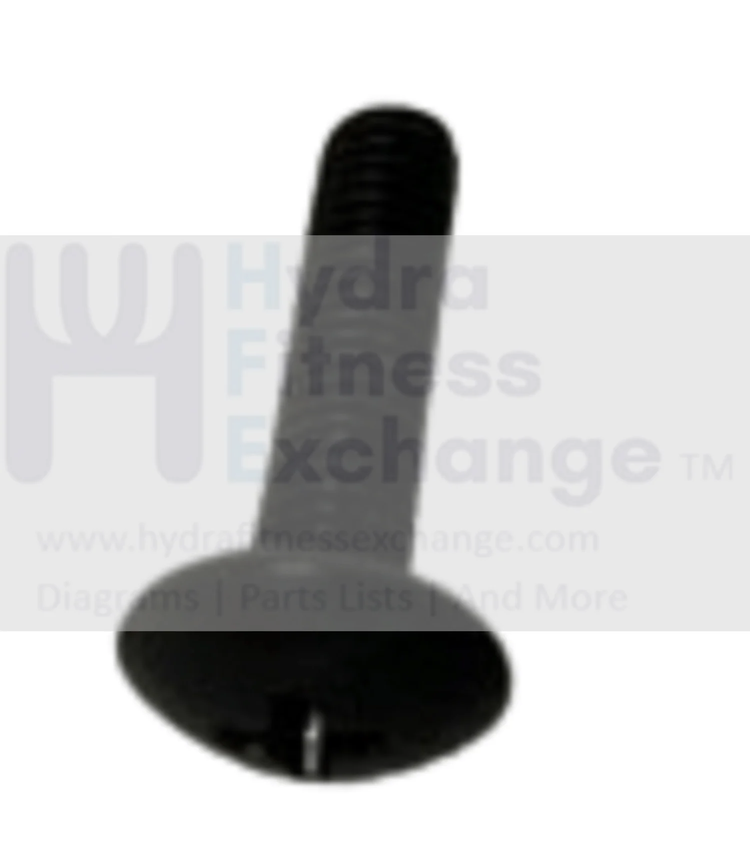 Matrix Retail Horizon Fitness A50-04 Endurance 300 Elliptical Screw M5x0.8Px20L 004368-Z