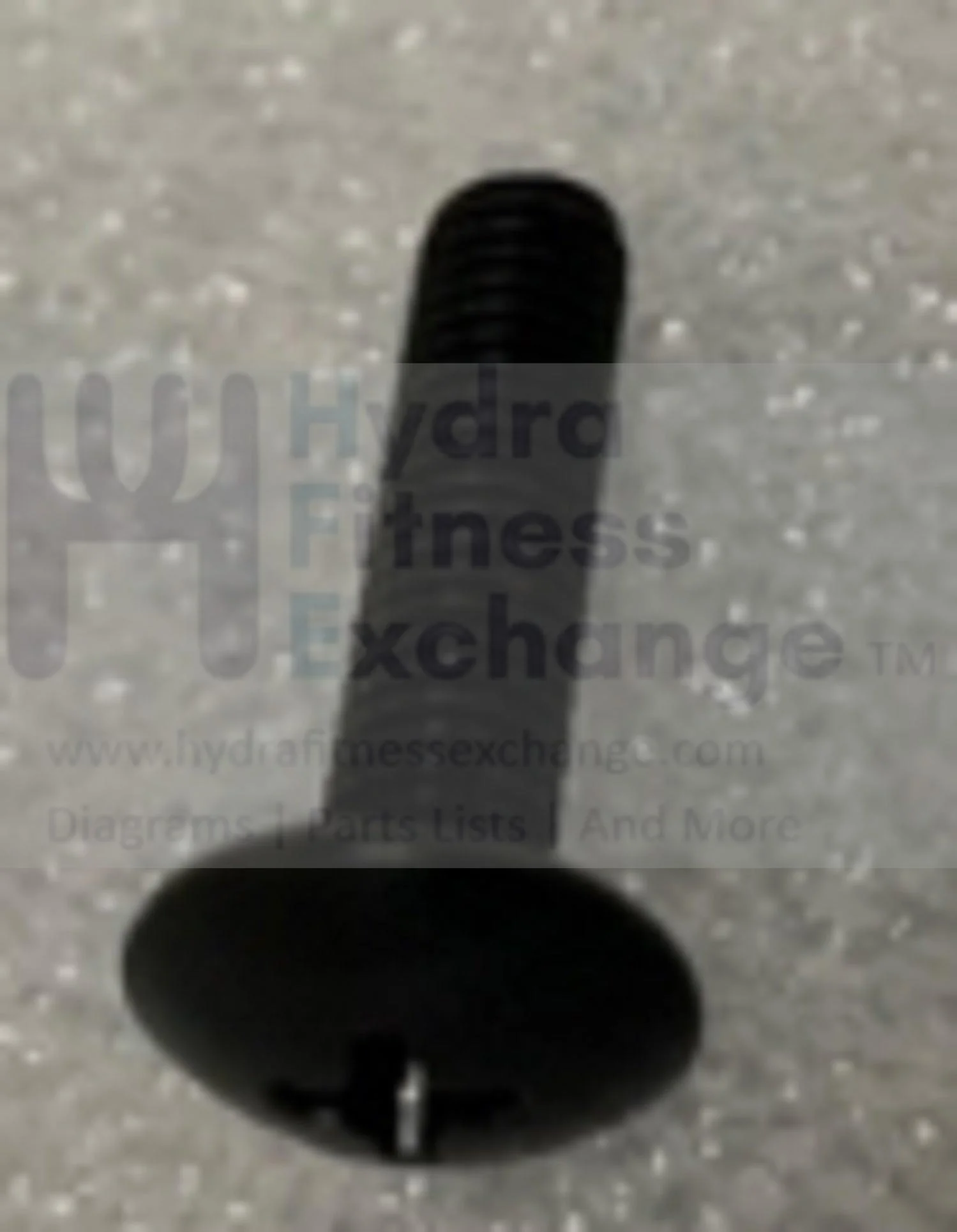 Matrix Retail Horizon Fitness A50-04 Endurance 300 Elliptical Screw M5x0.8Px20L 004368-Z - Image 2