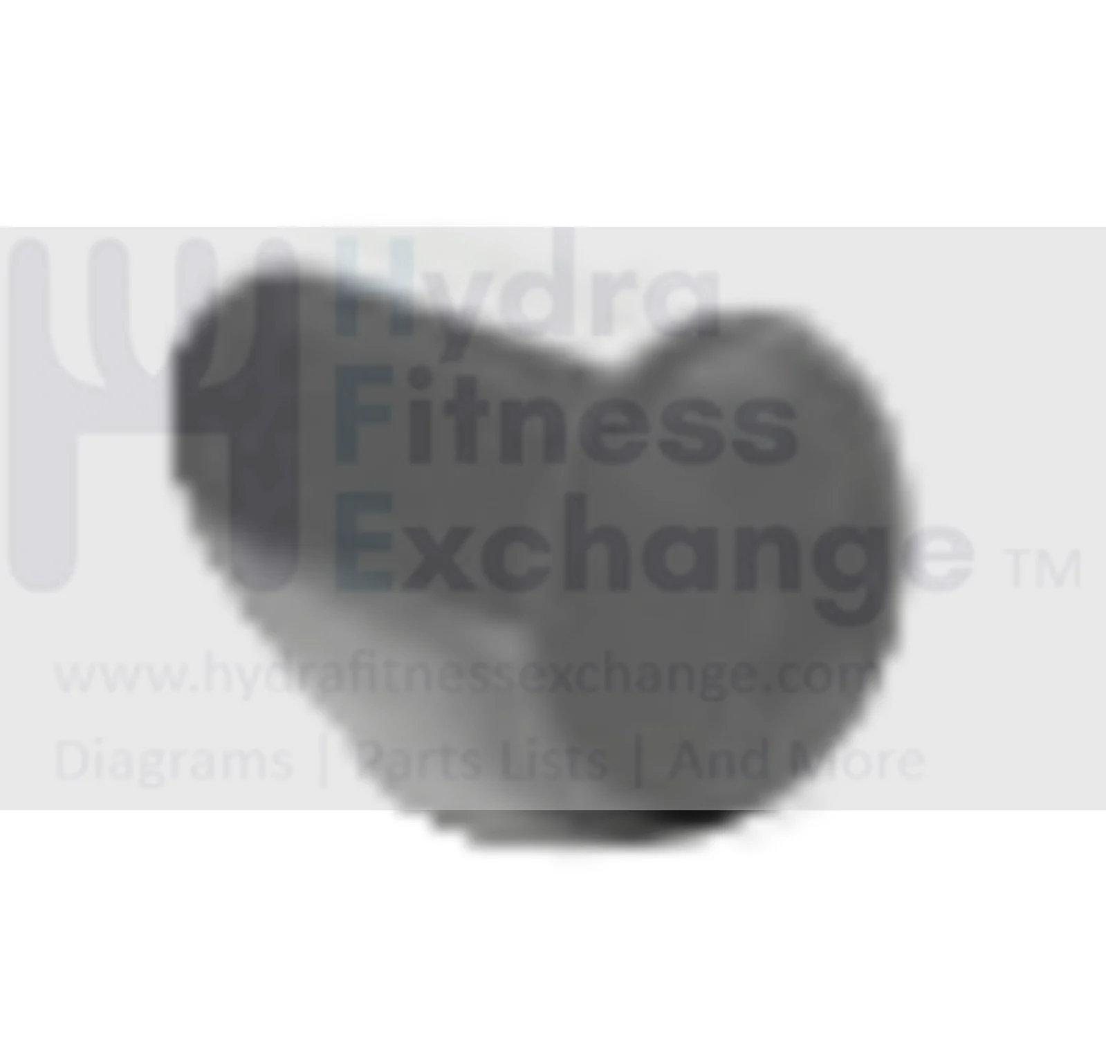 Matrix Retail Horizon Fitness Elliptical Head Screw 004364-AC