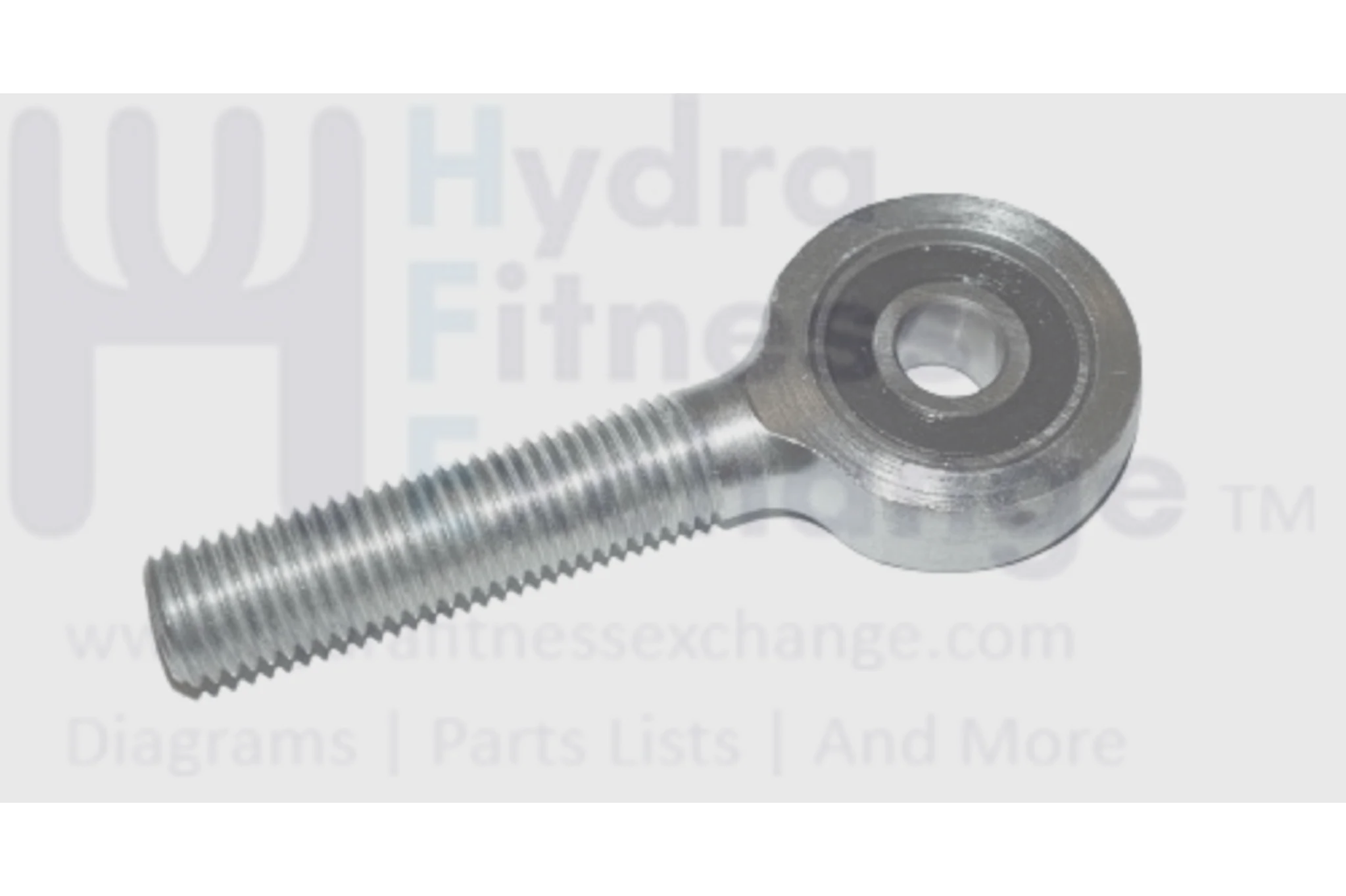 Matrix Retail Horizon Fitness Endurance 300 A50-04 Elliptical Bearing Set 1000347281