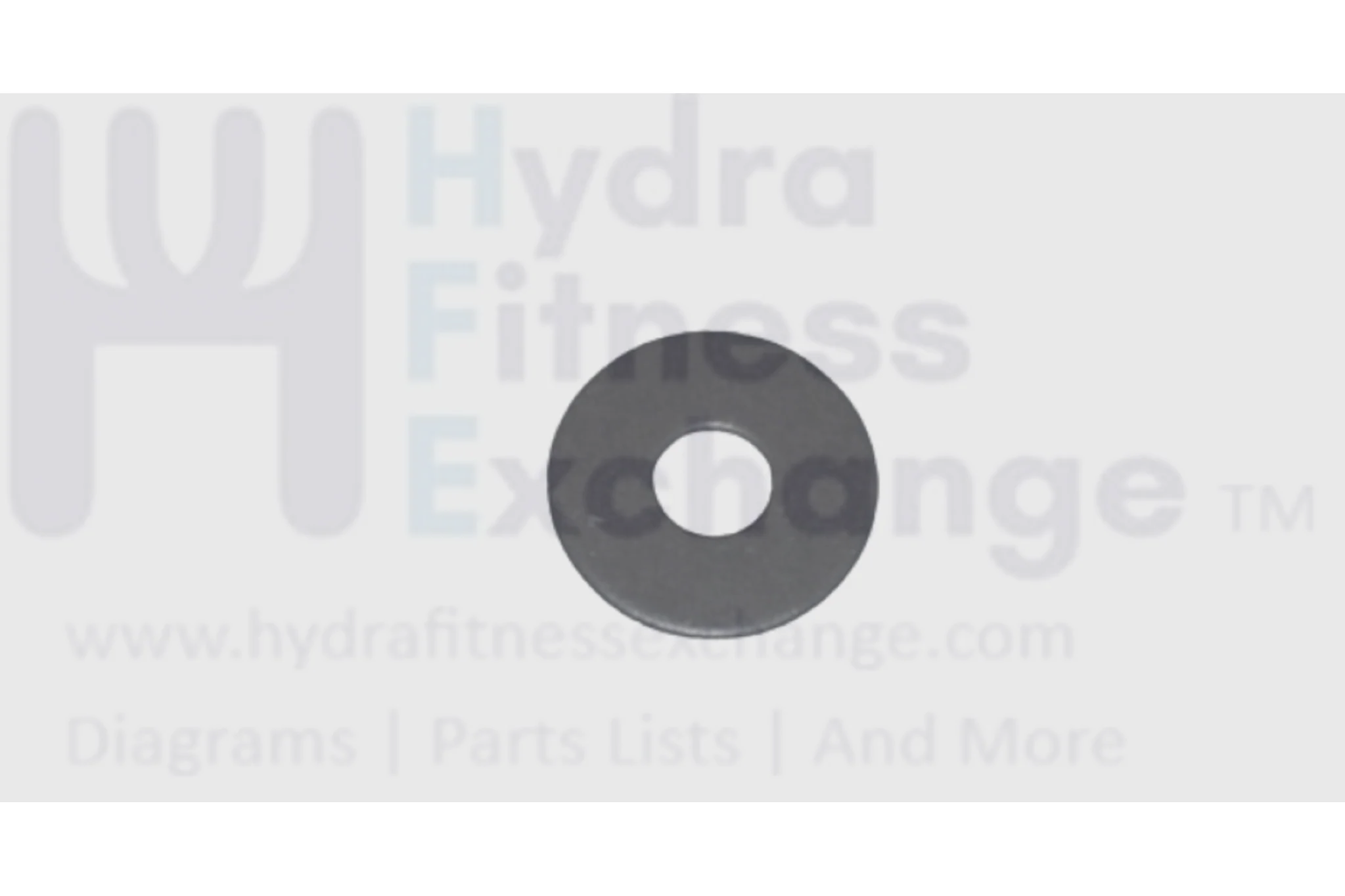 Matrix Retail Horizon Fitness Endurance 300 E30-02 Elliptical Flat Washer 005036-00