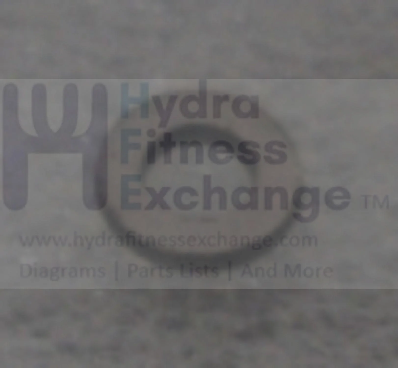 Matrix Retail Horizon Fitness G7-S51-02 Endurance 300 Elliptical Flat Washer 005155-ZA - Image 2