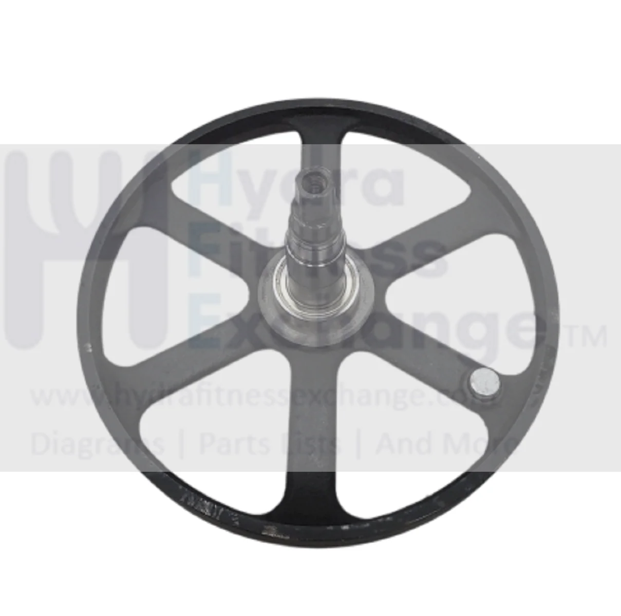 Matrix Retail Recumbent Bike Flywheel Pulley Assembly 1000432807