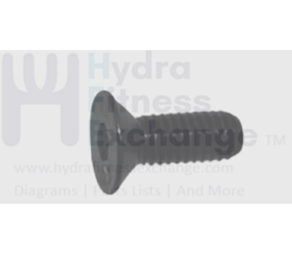 Matrix Retail Recumbent Bike Oval Head Hex Socket Screw M6 - 1.0P x 16L 1000304422
