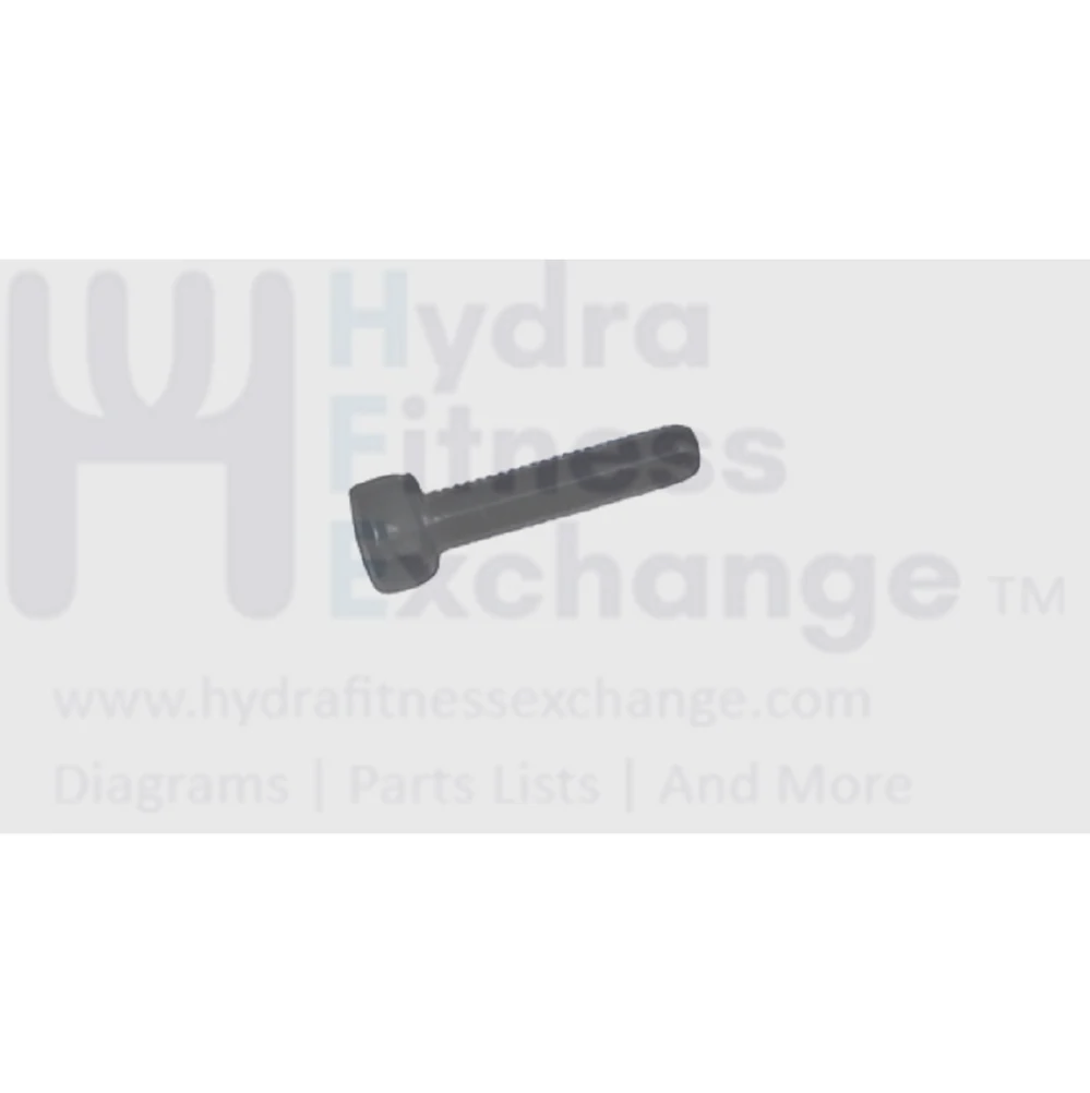 Matrix Retail Stepper Step Hex Head Socket Screw M5 - 0.8P X 20L 004451-00