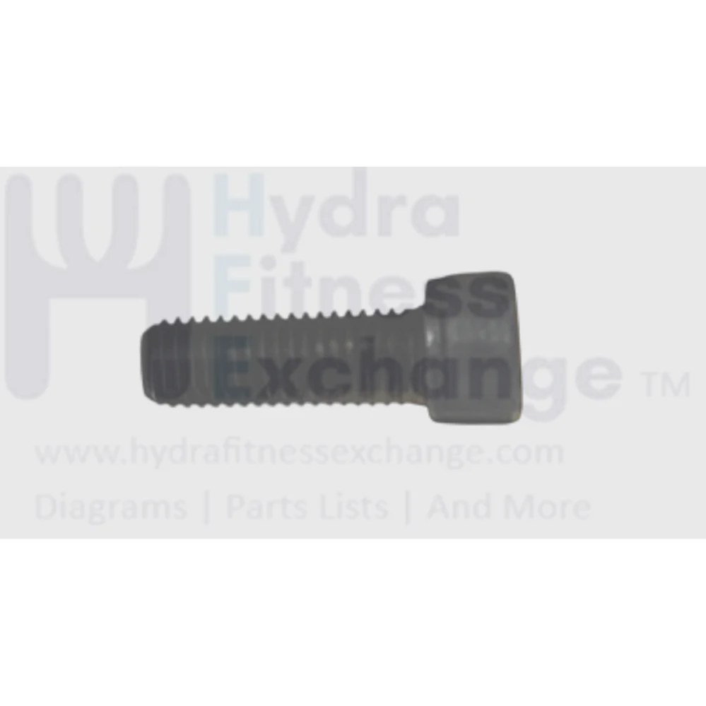 Matrix Retail Stepper Step Round Hex Socket Head Screw M5- 0.8P x 12L 1000211111