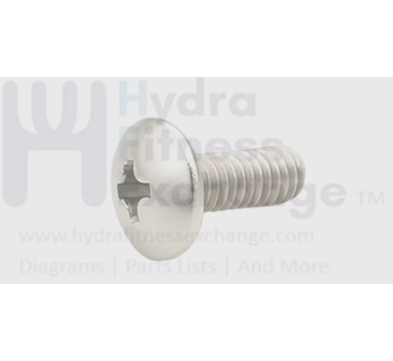 Matrix Retail TM694 TM693 TM704 TM765 TM768 EP632C EP726 Treadmill Button Head Phillip Screw M5 x 10L 004387-00