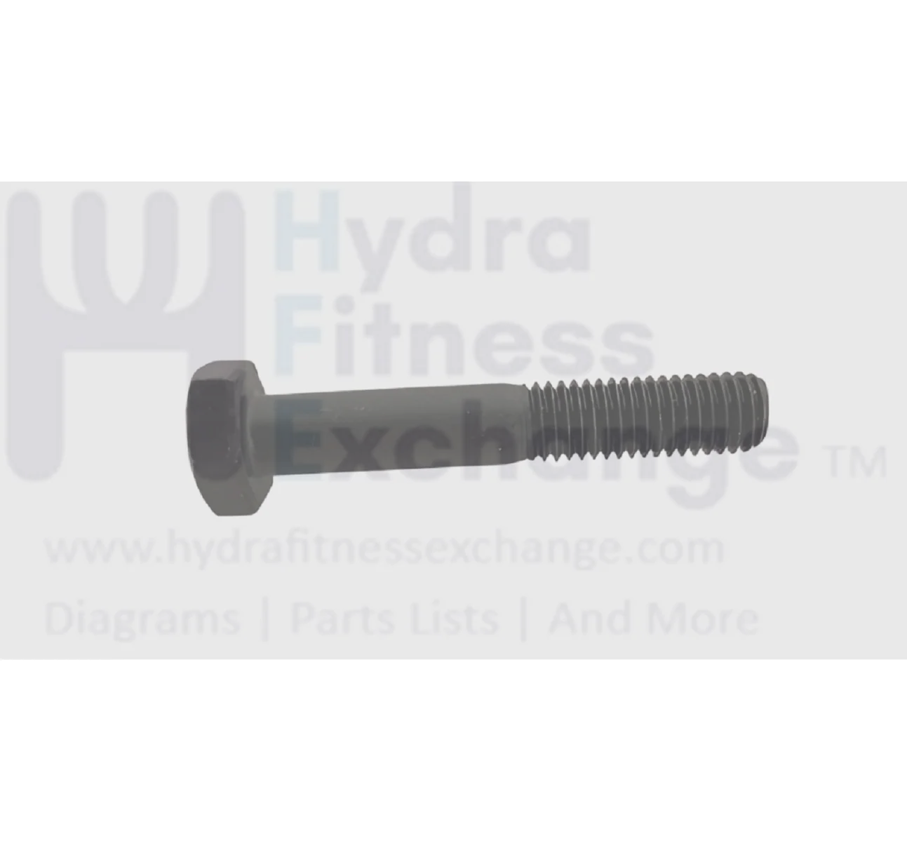 Matrix Retail TM694 TM693 TM768 Treadmill Hex Head Screw M10 x 1.5P x 60L 1000400574