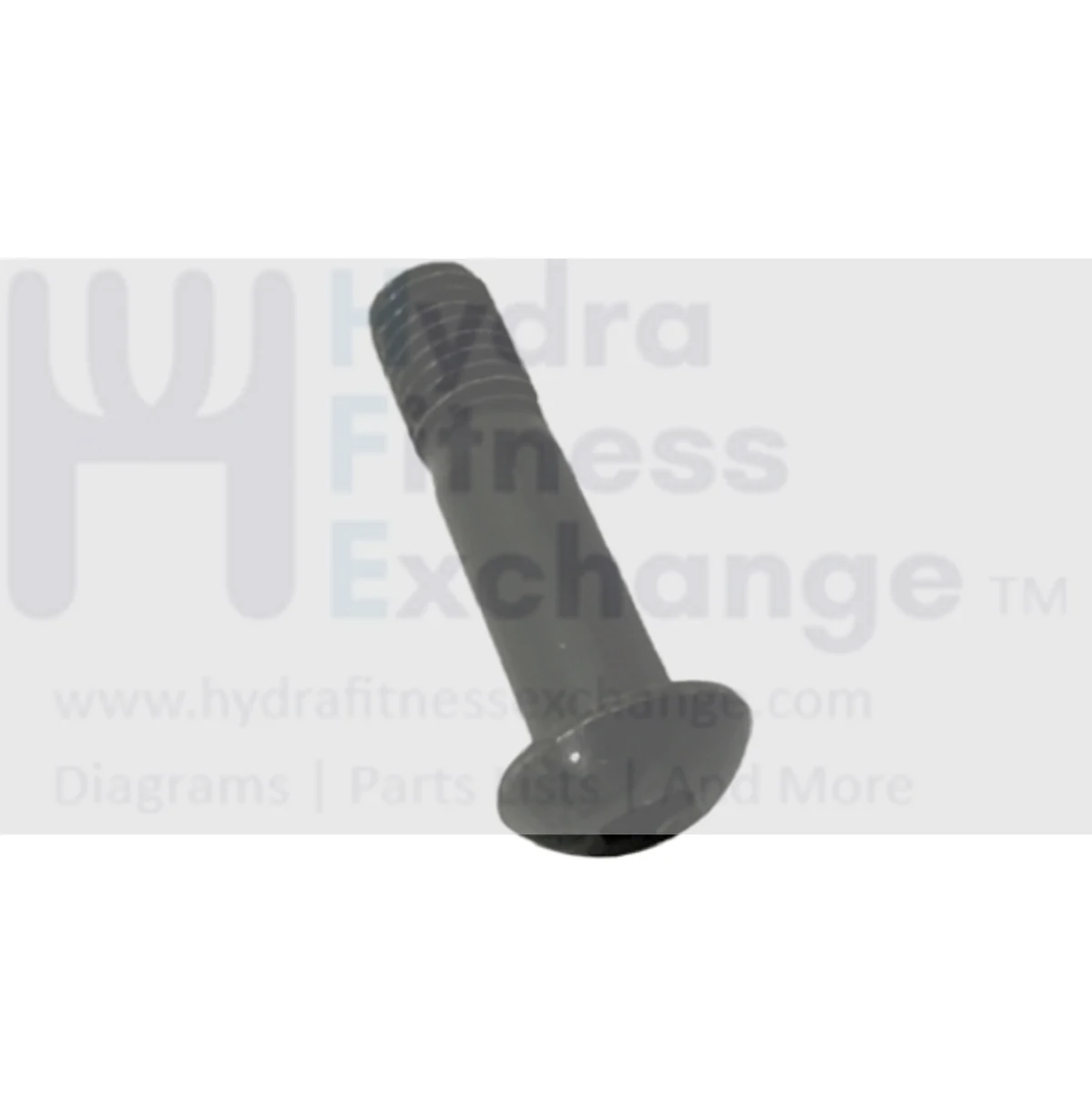 Matrix Retail TM768 TM1024 Treadmill Button Head Hex Socket Screw M10 - 1.5P x 40L/15L 1000232343