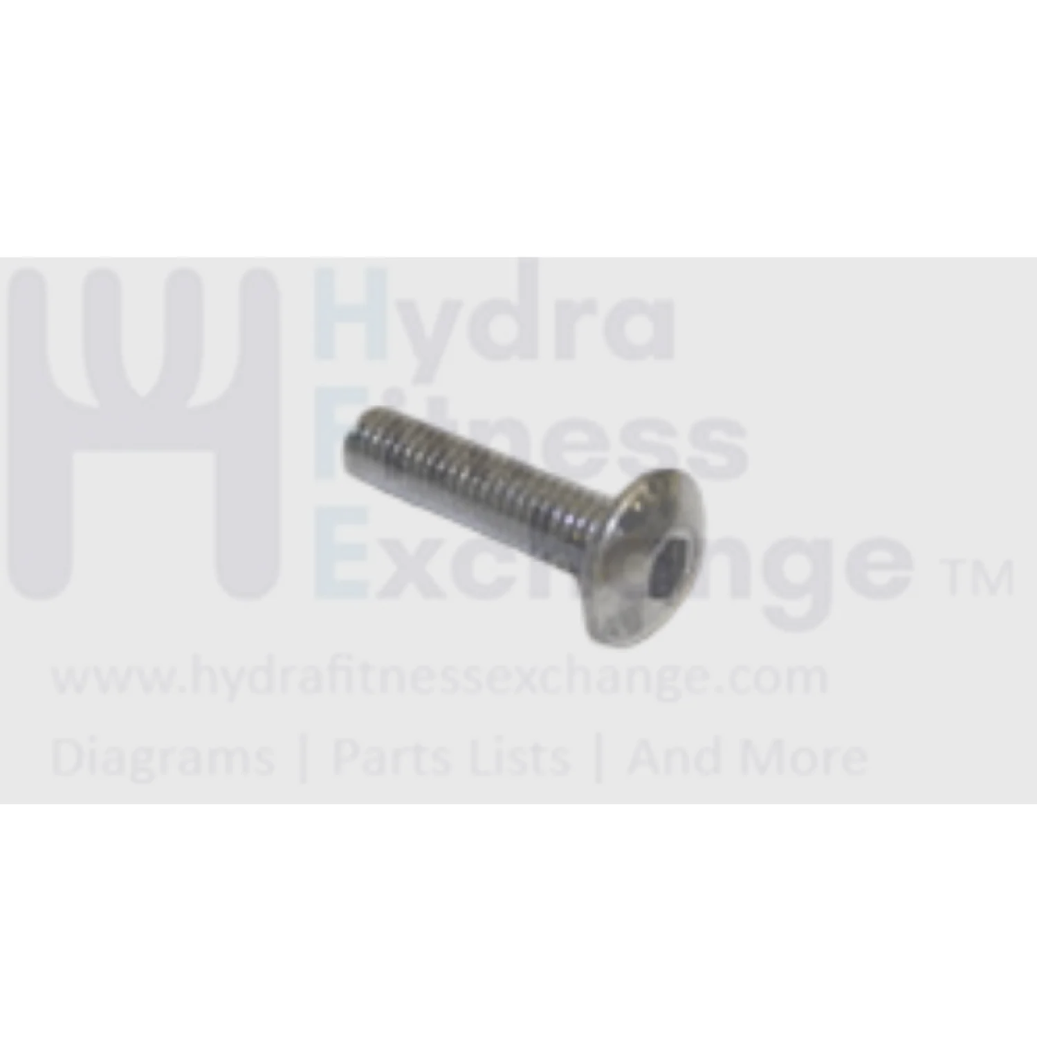 Matrix Retail Treadmill Button Head Hex Socket Screw M6 - 1.0P x 25L 040828-AB
