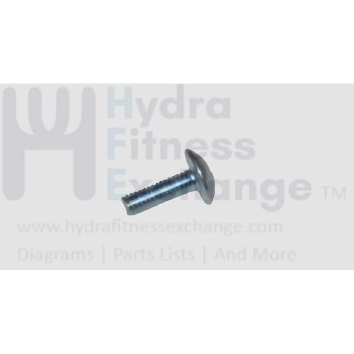 Matrix Retail Treadmill Button Head Phillip Screw M4 x 12L 068304-00
