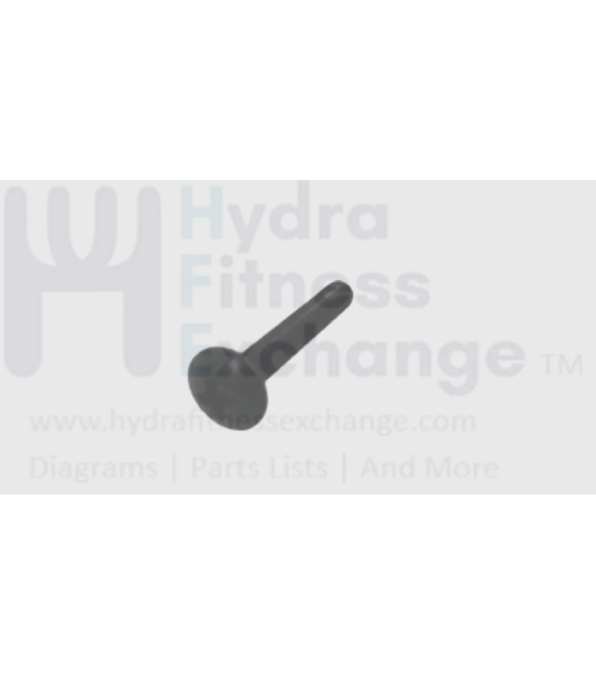 Matrix Retail Treadmill Button Head Phillip Screw M4 x 25L 1000098156