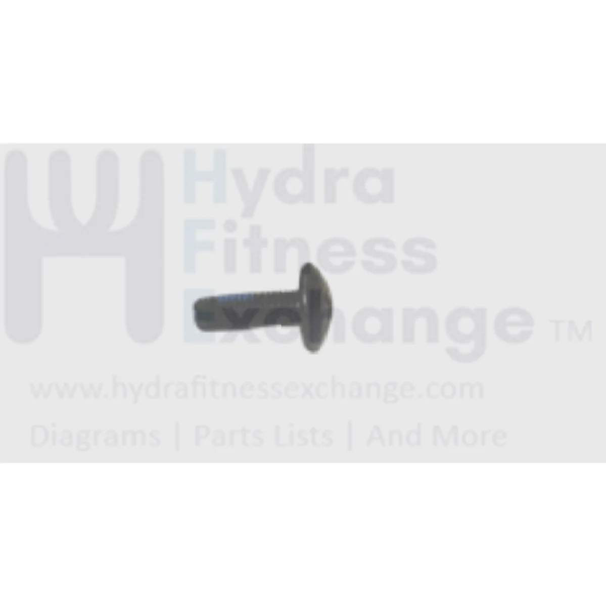 Matrix Retail Treadmill Button Head Phillip Screw M5 - 0.8P x 15L 004375-AD