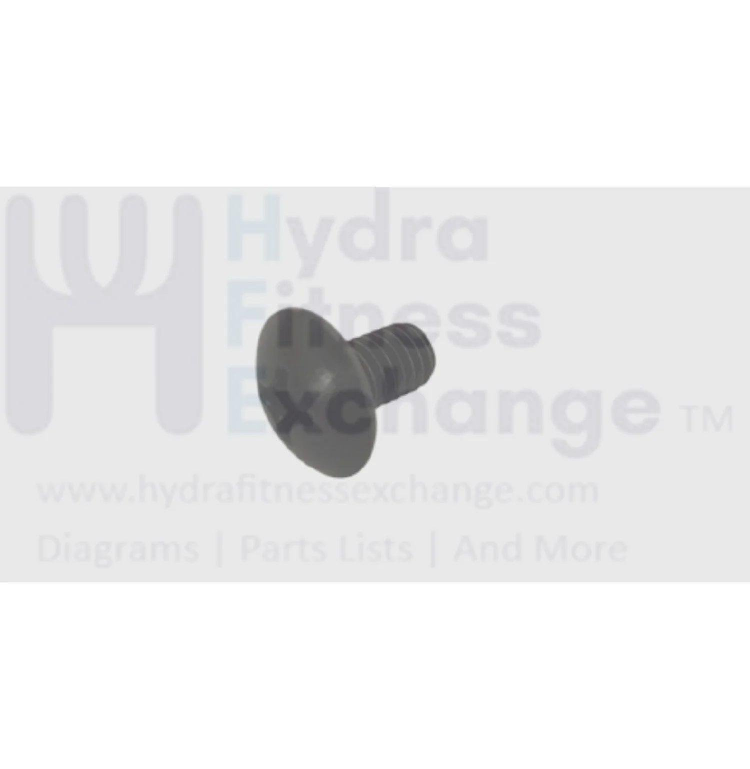 Matrix Retail Treadmill Button Head Phillip Screw M6 - 1.0P x 10L 020040-A