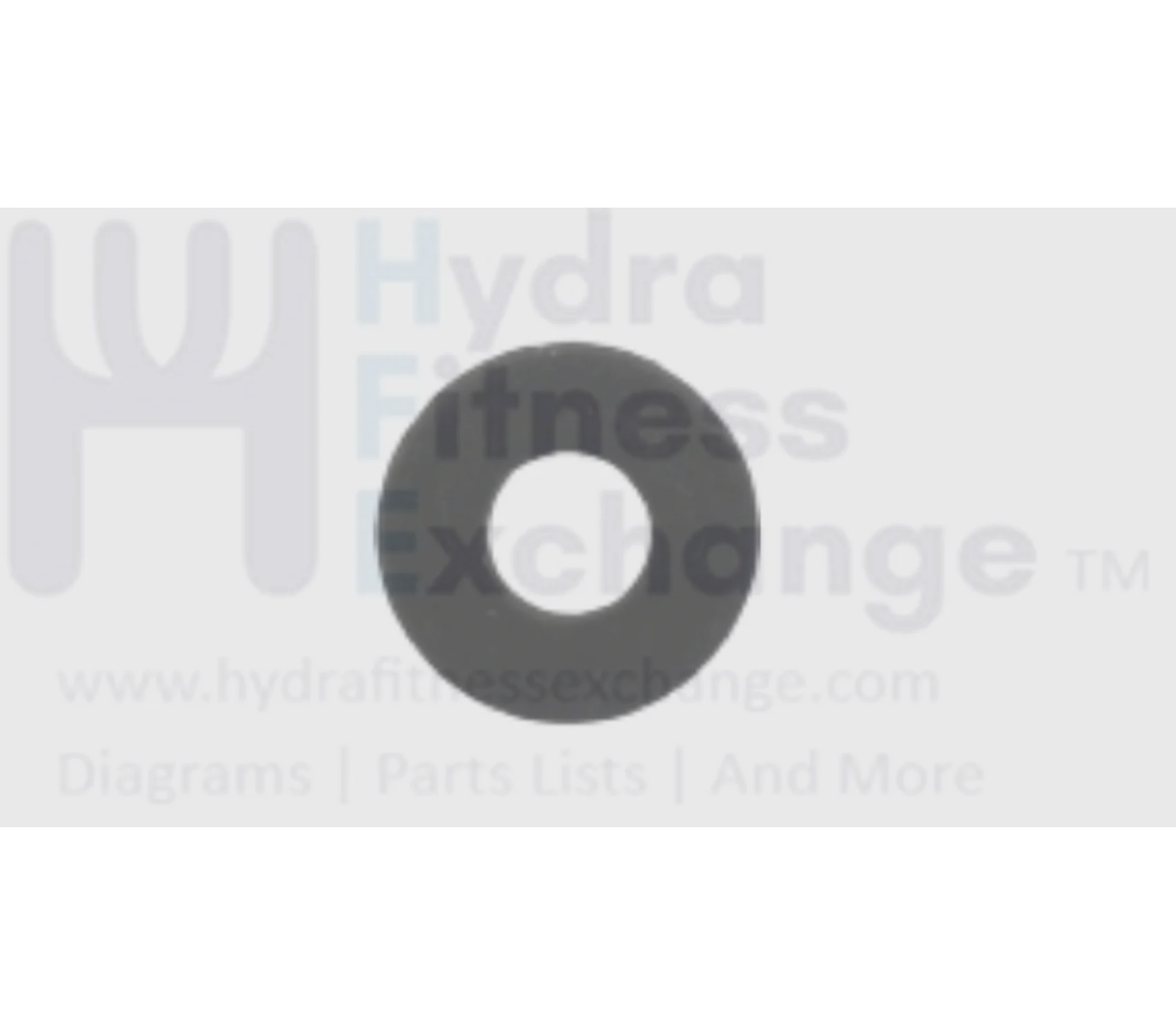 Matrix Retail Treadmill Flat Washer 6.2 x 15.0 x 1.0t 020451-Z