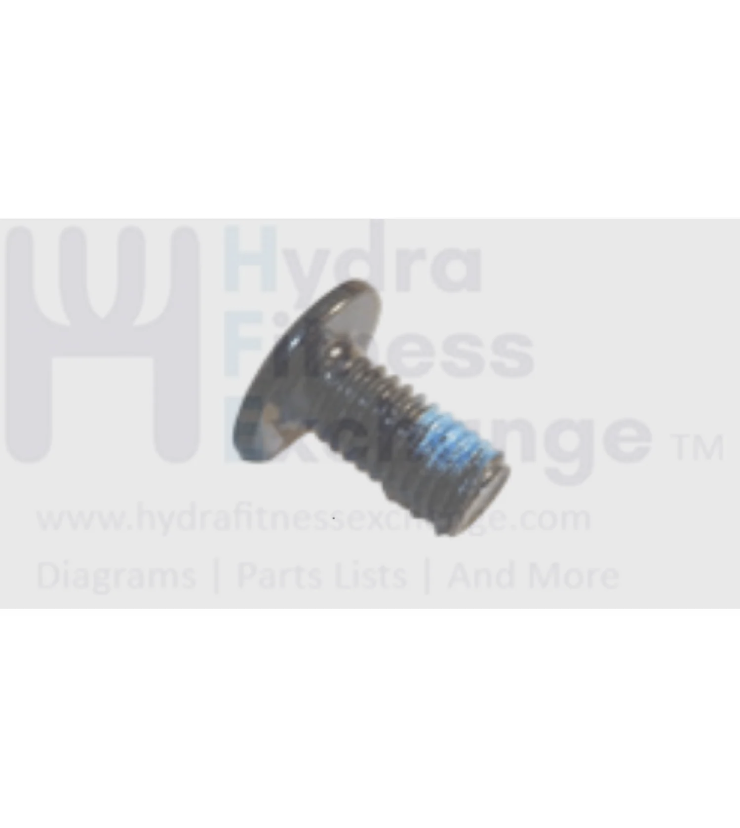 Matrix Retail Treadmill Hex Socket Screw M8 - 1.25P x 15L 004700-AB