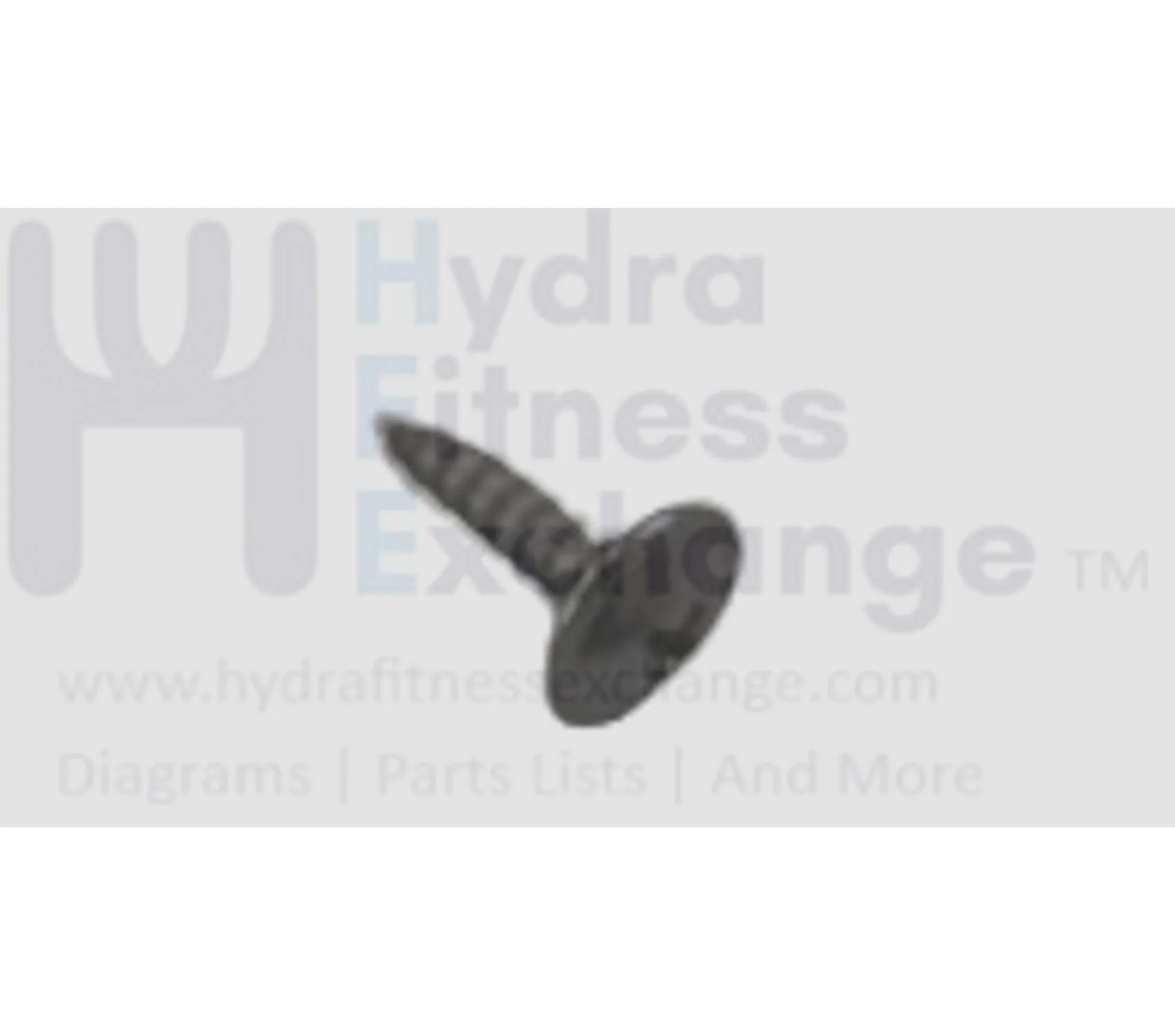 Matrix Retail Treadmill Phillip Head Screw 4x15L 1000230700