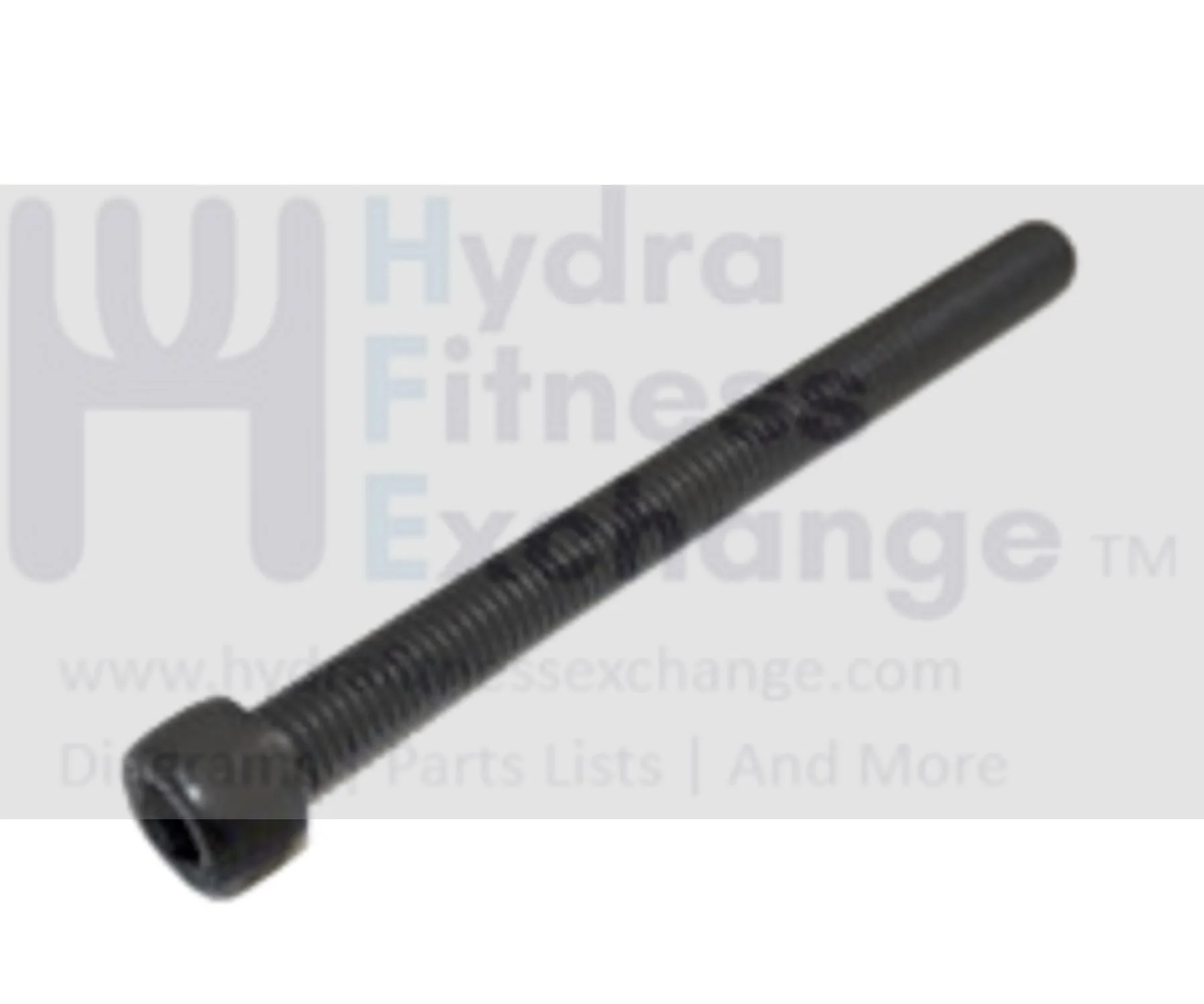 Matrix Retail Treadmill Round Head Hex Socket Screw M10 - 1.5P x 110L 004542-00