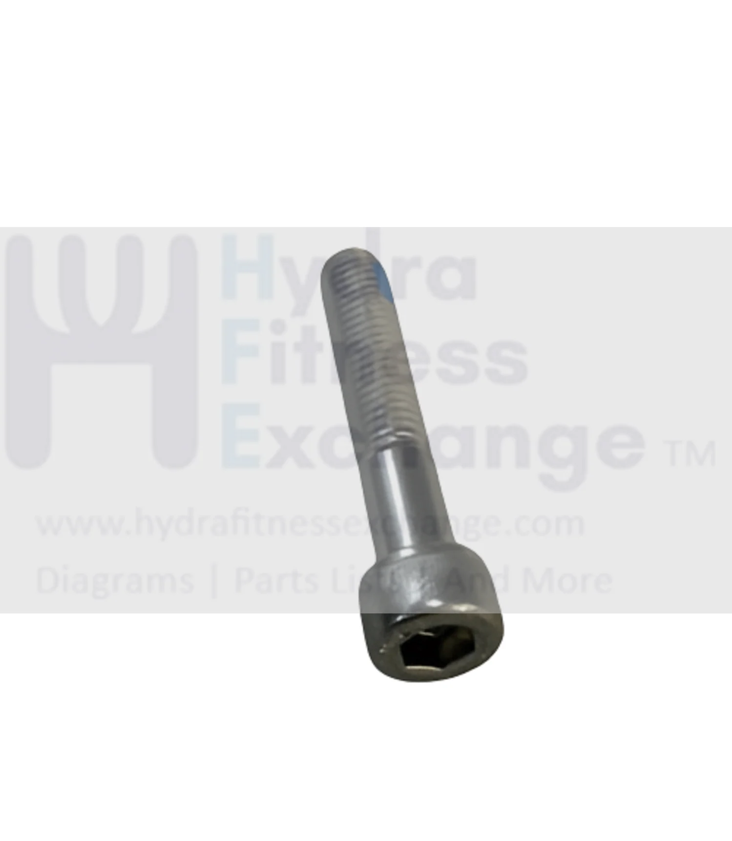 Matrix Retail Treadmill Round Head Hex Socket Screw M10 x 50L 1000231069
