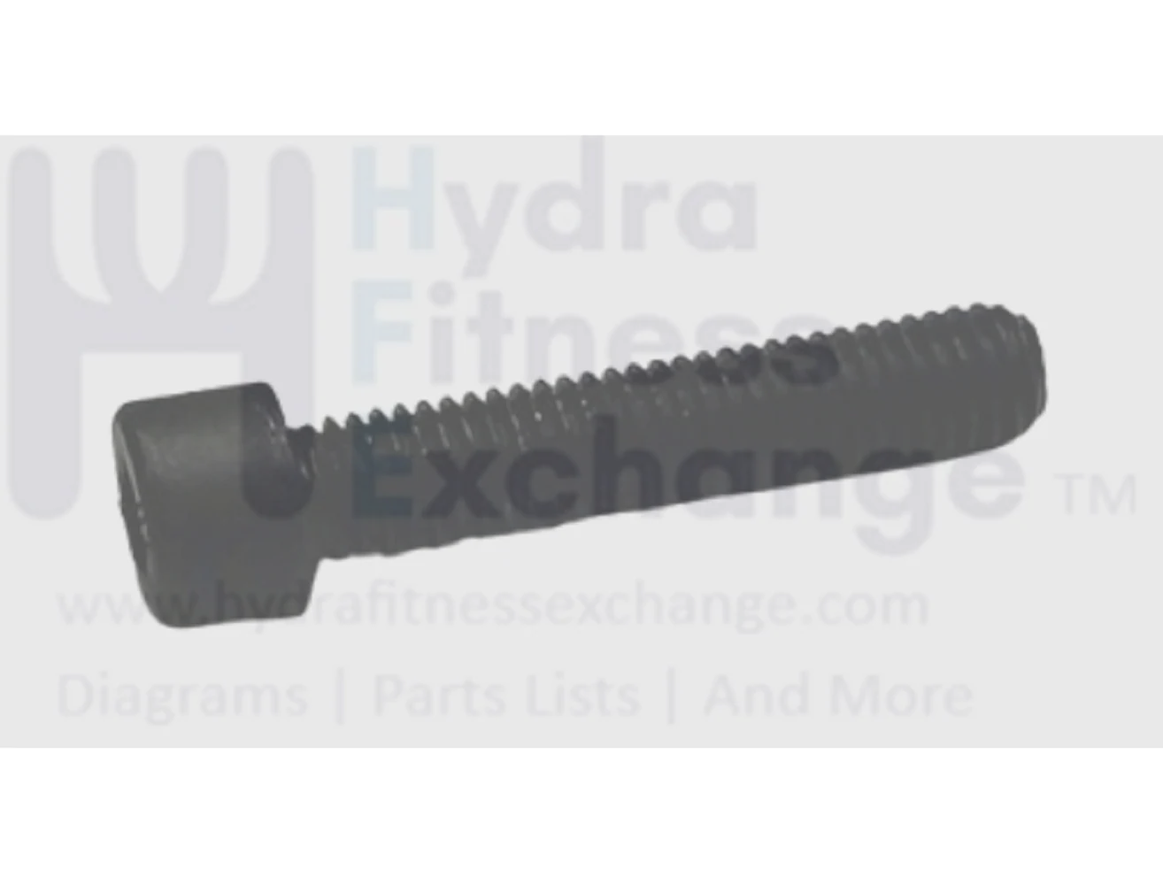 Matrix Retail Treadmill Round Head Hex Socket Screw M8 - 1.25P x 40L 1000105082