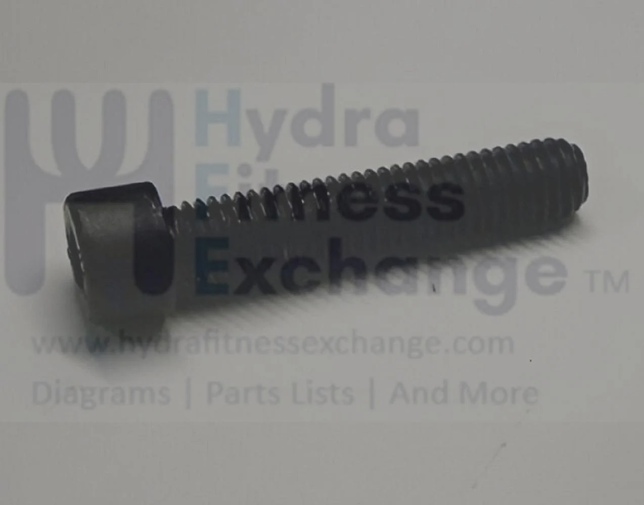 Matrix Retail Treadmill Round Head Hex Socket Screw M8 - 1.25P x 40L 1000105082 - Image 2