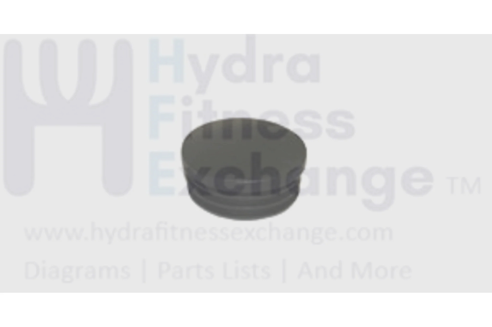 Matrix Retail Vision Horizon Fitness Elliptical End Cap 000945-AA
