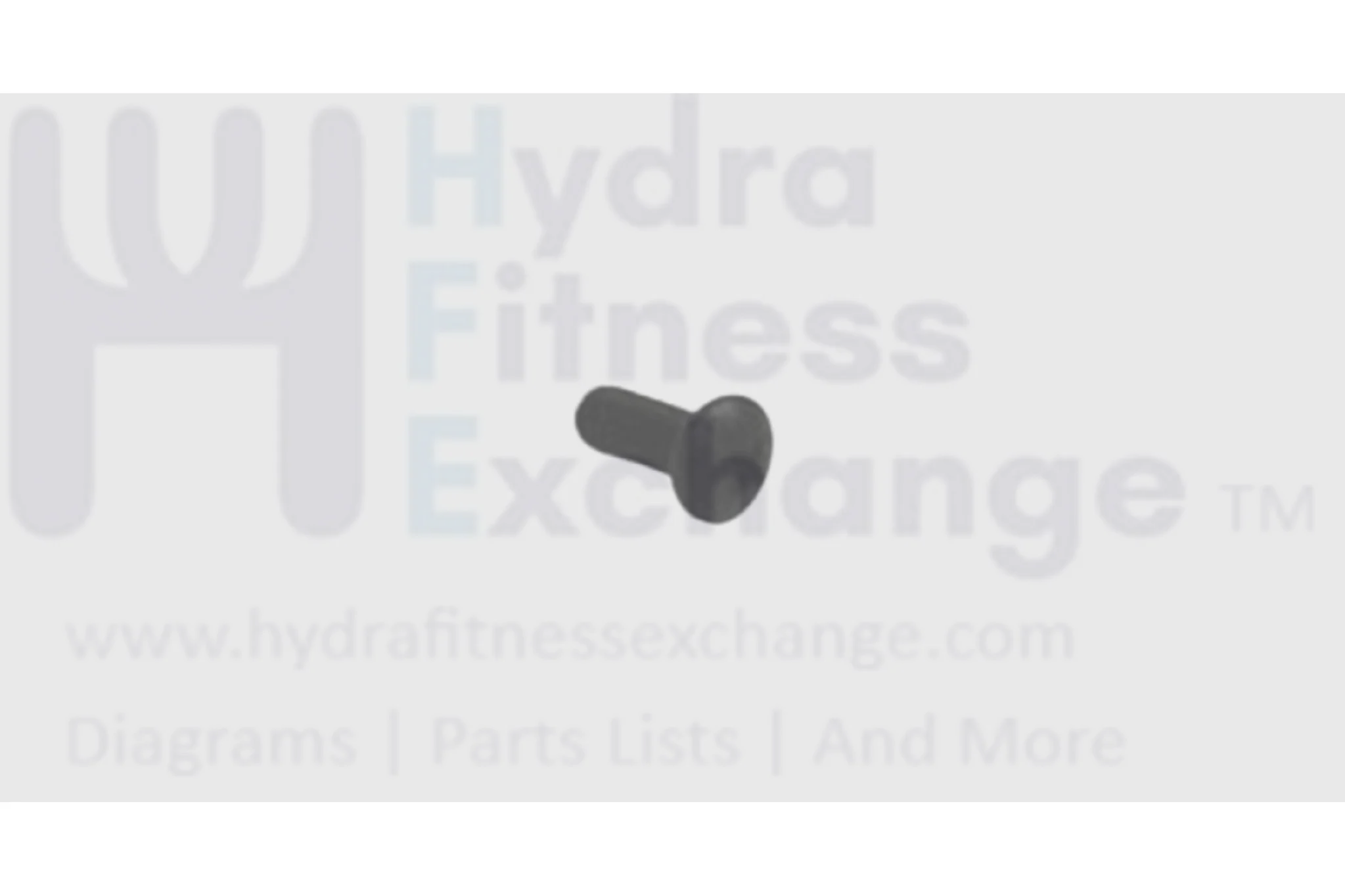Matrix Retail Vision Horizon Fitness Elliptical Head Screw 004364-AC