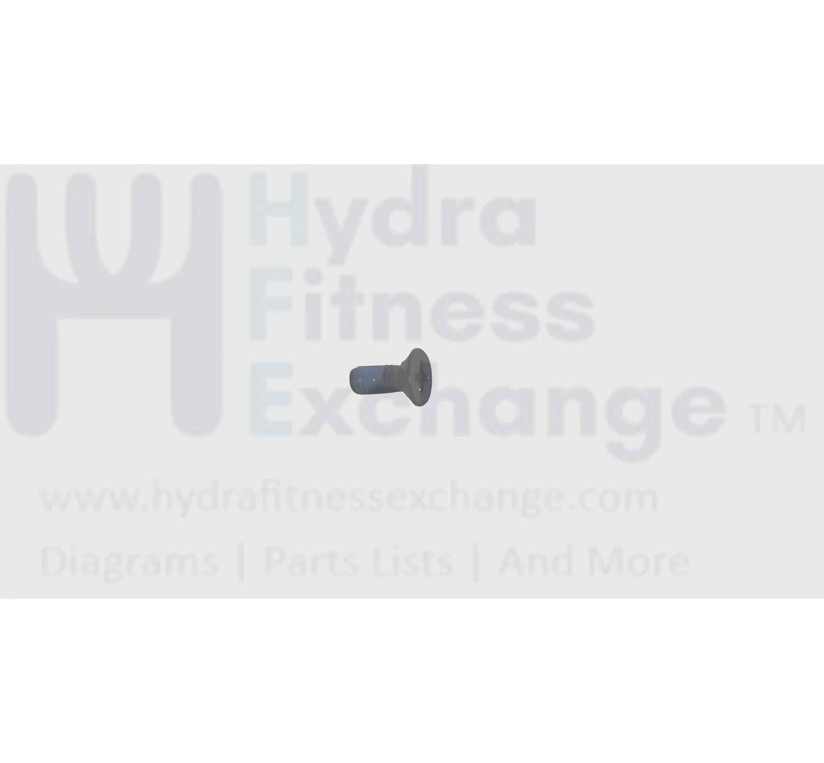 Matrix Stationary Bike Flat Head Phillip Screw M4 - 0.7P x 10L 1000405658