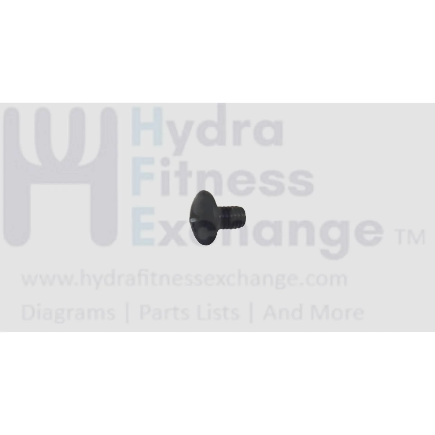 Matrix Stationary Bike Phillip Button Head Screw M4 - 0.7P x 6L 020012-00