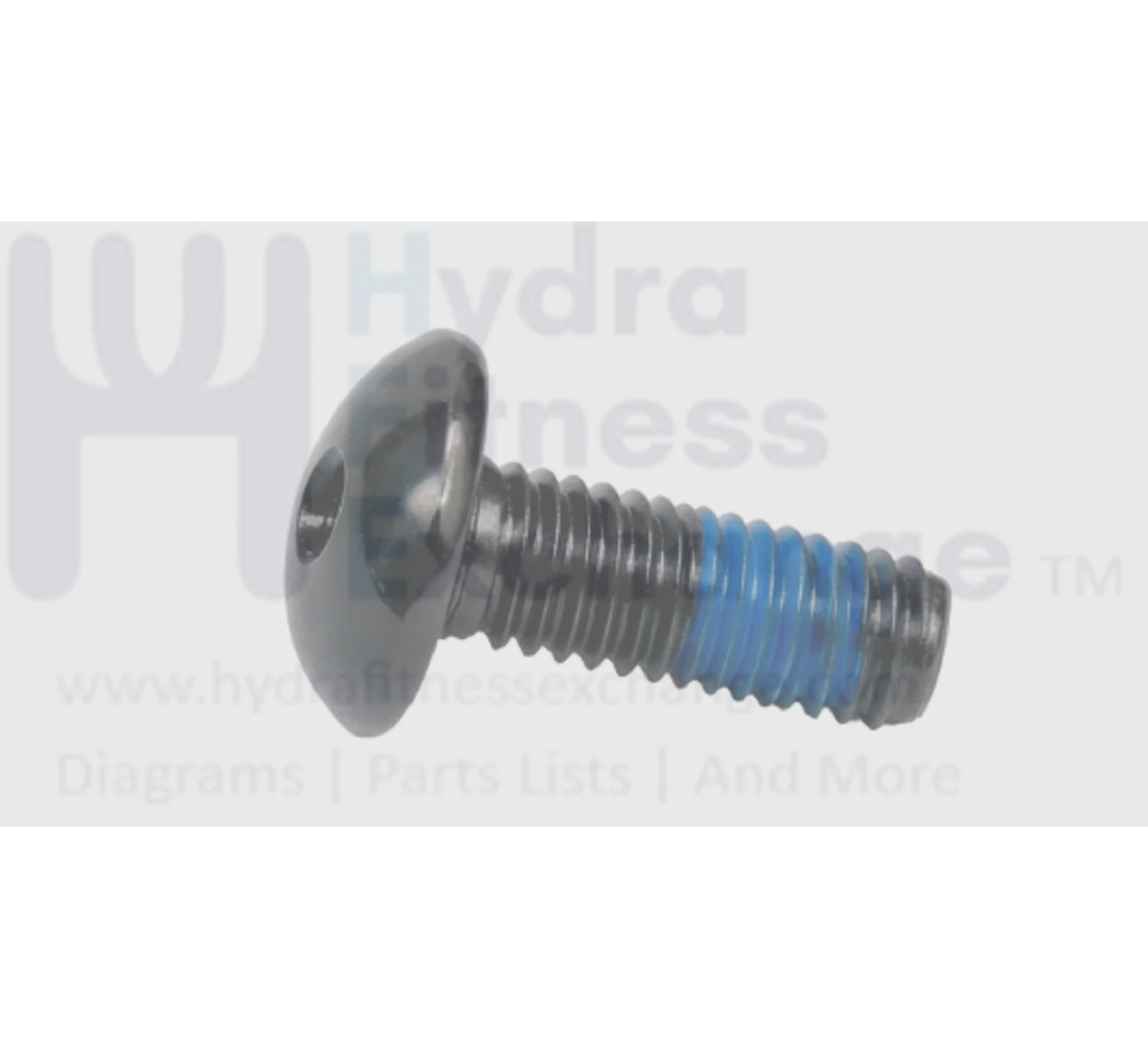 Matrix Fitness Strength System Button Head Hex Socket Screw M6 - 1.0P x 15L 1000104708