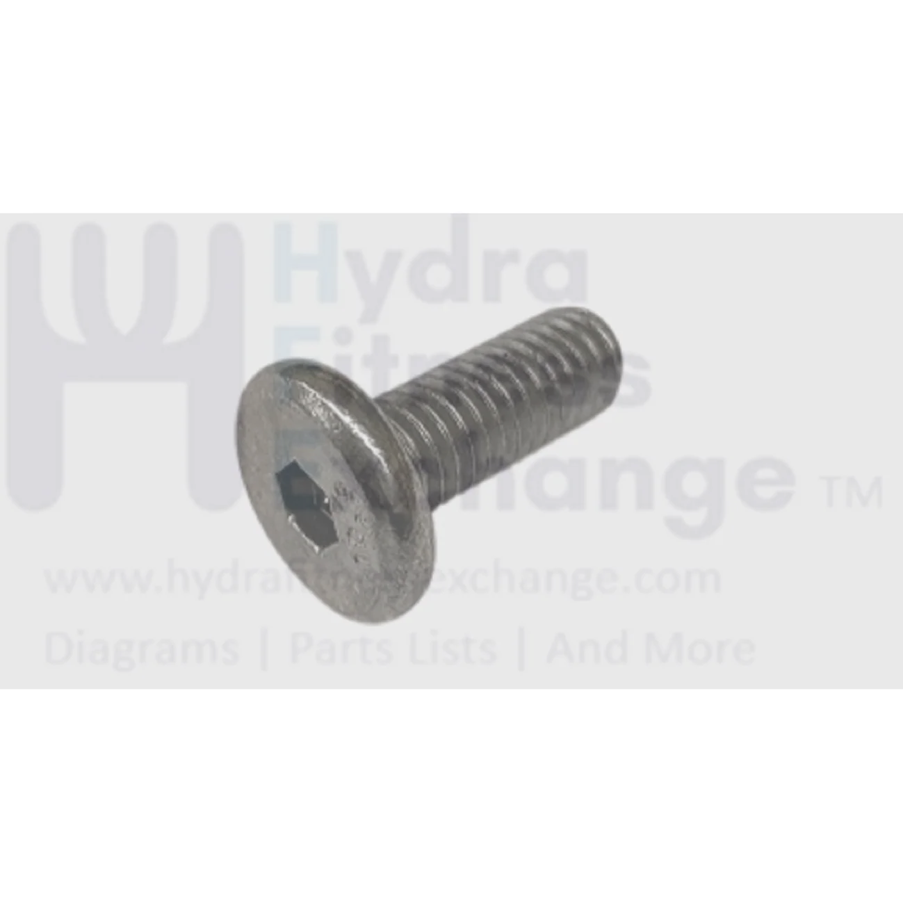 Matrix Strength System Head Hex Socket Screw M8 x 1.25P x 20L 004696-AB