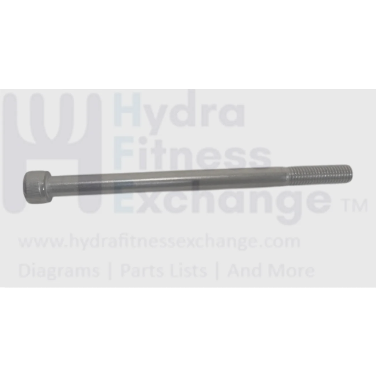 Matrix Fitness Strength System Hex Head Socket Screw M10 - 1.5P x 150L 1000306613