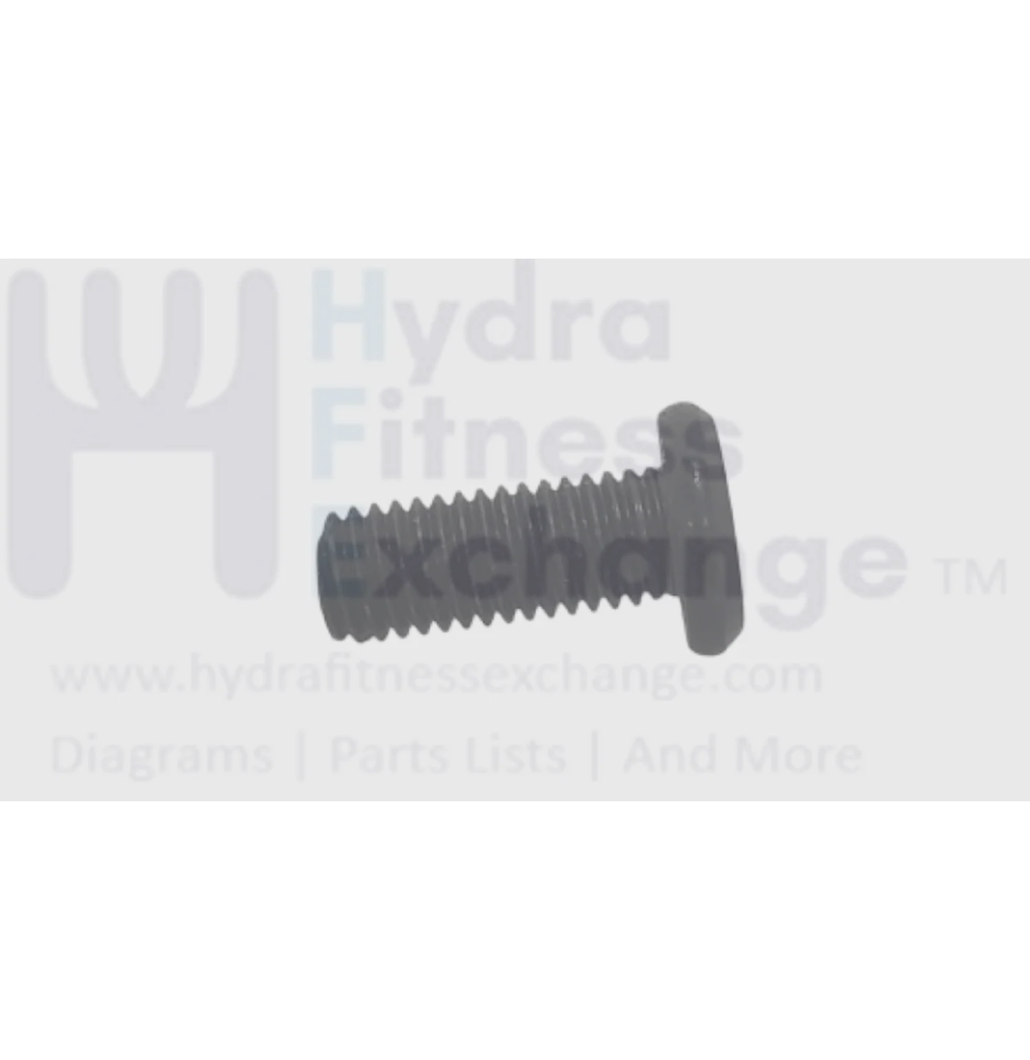 Matrix Strength System Machine Thread Hex Screw M10 - 1.5P x 25L 1000426729