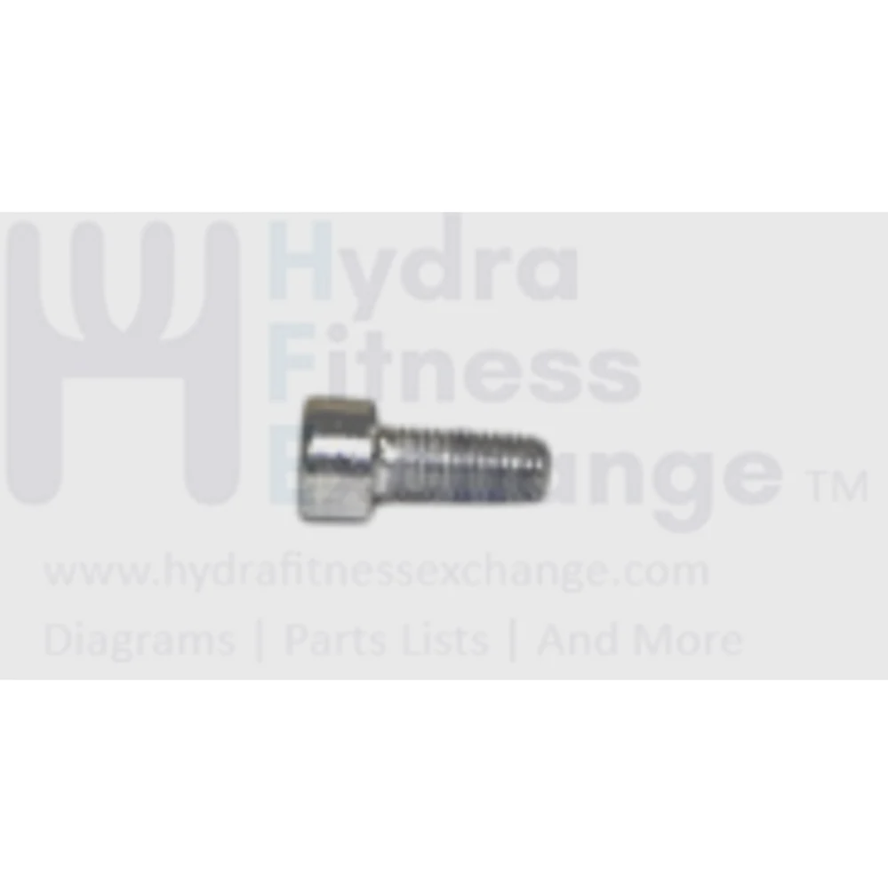 Matrix Strength System Round Head Chromed Screw M5 x 0.8P x 12L 1000108803