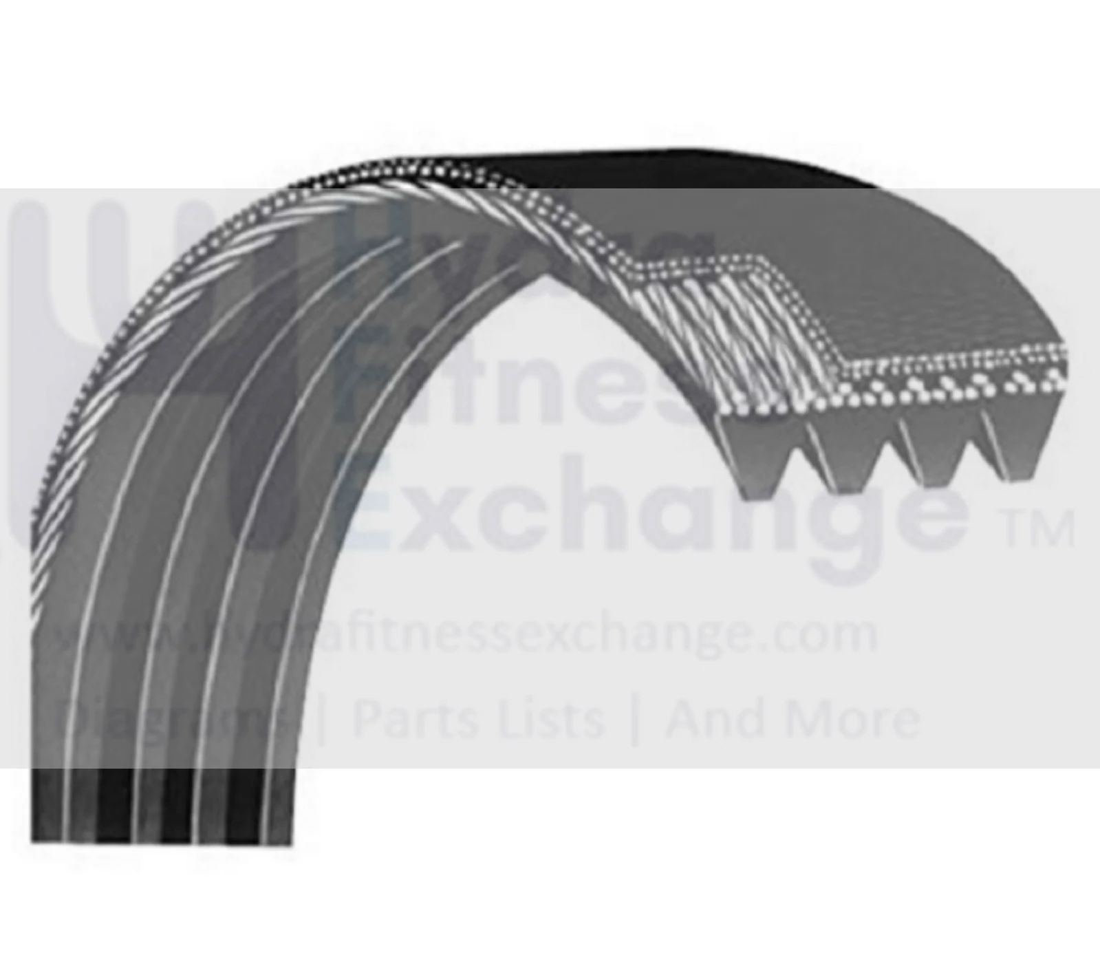 Used Matrix T9800HRT T1x T3x T3xe T9800S Treadmill Motor Drive Belt 24" 1000340397