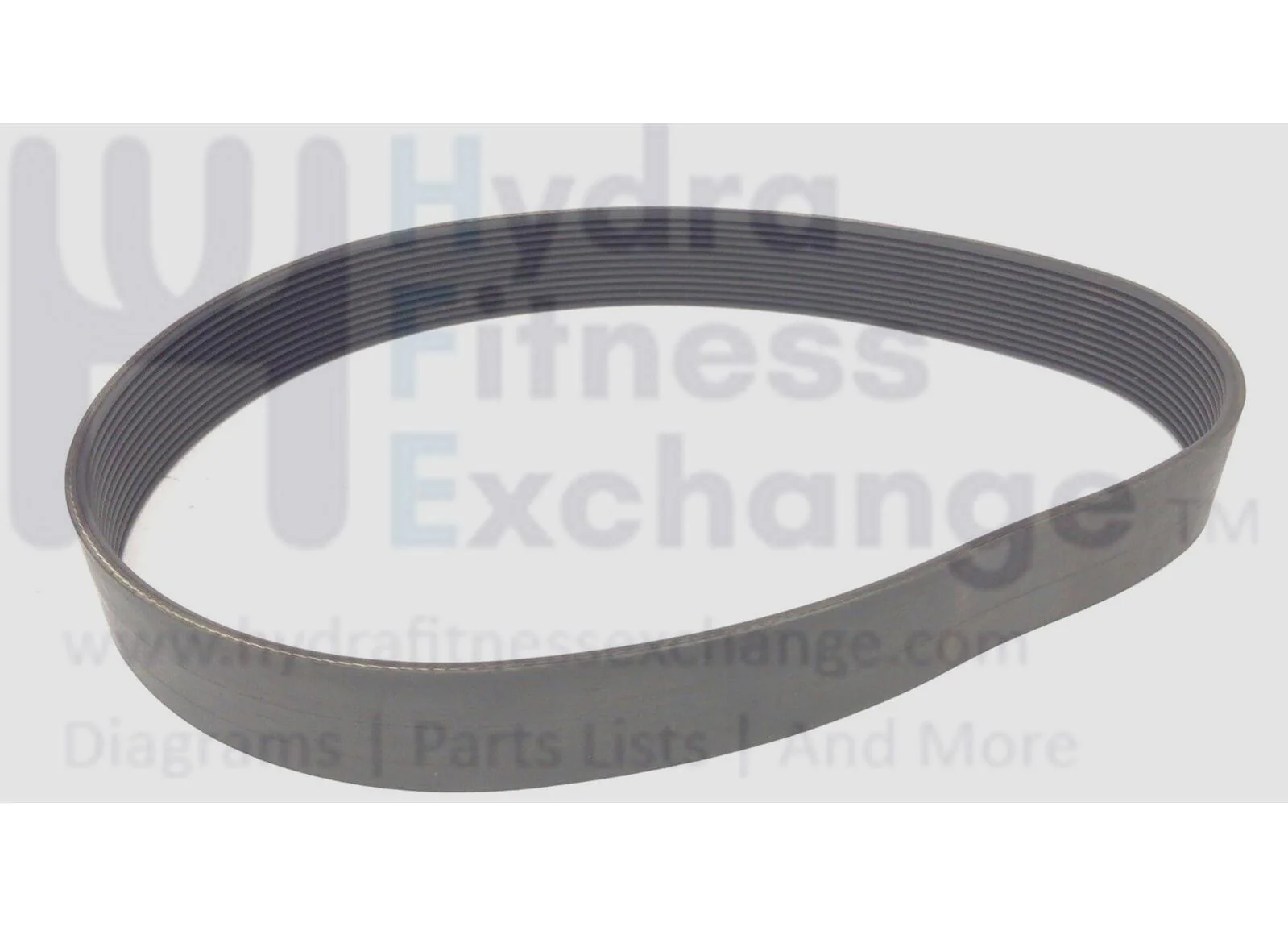 Used Matrix T9800HRT T1x T3x T3xe T9800S Treadmill Motor Drive Belt 24" 1000340397 - Image 2