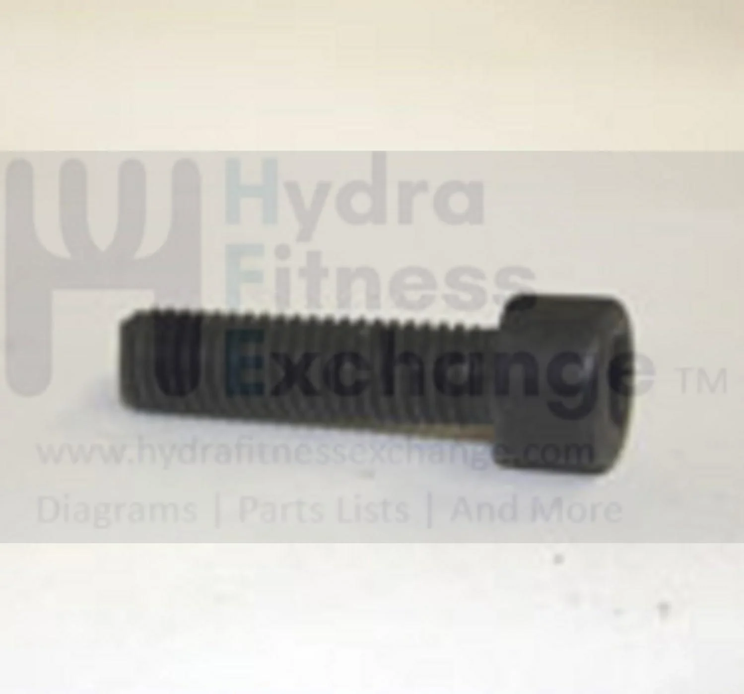 Matrix Tempo Horizon Fitness Treadmill Round Head Hex Socket Screw M8 - 1.25P x 30L 004535-AB - Image 2