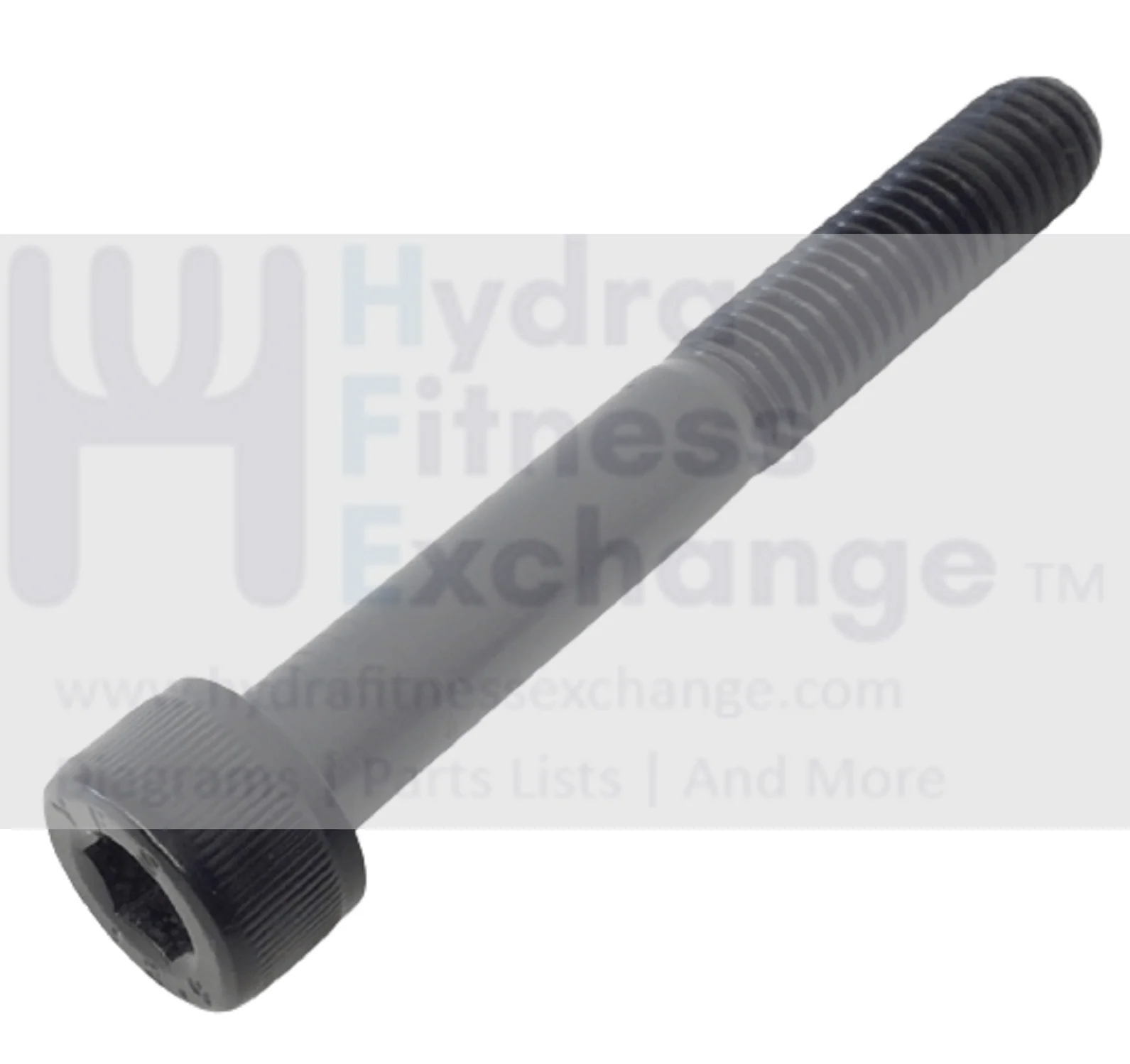 Matrix Vision Fitness Treadmill Hex Socket Head Screw M8x1.25x6mm 020072-00
