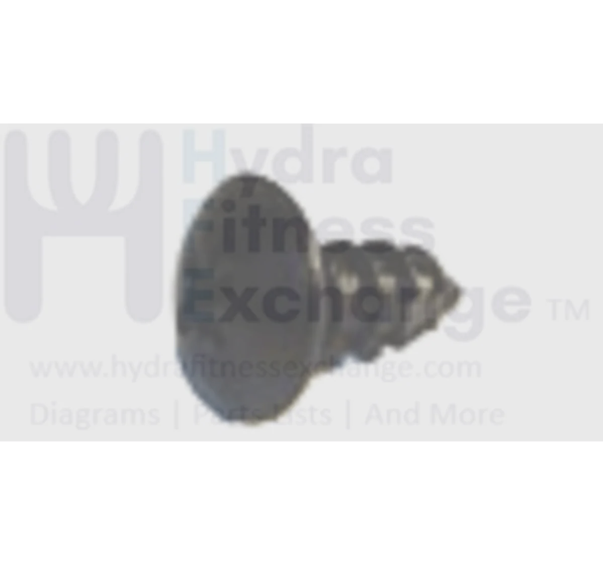 Horizon Fitness Treadmill Button Head Tapped Phillip Screw 5 x 12L 004627-AB
