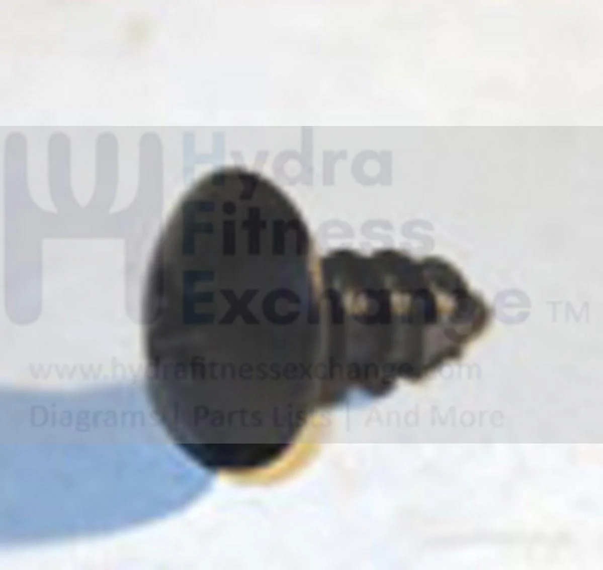 Horizon Fitness Treadmill Button Head Tapped Phillip Screw 5 x 12L 004627-AB - Image 2